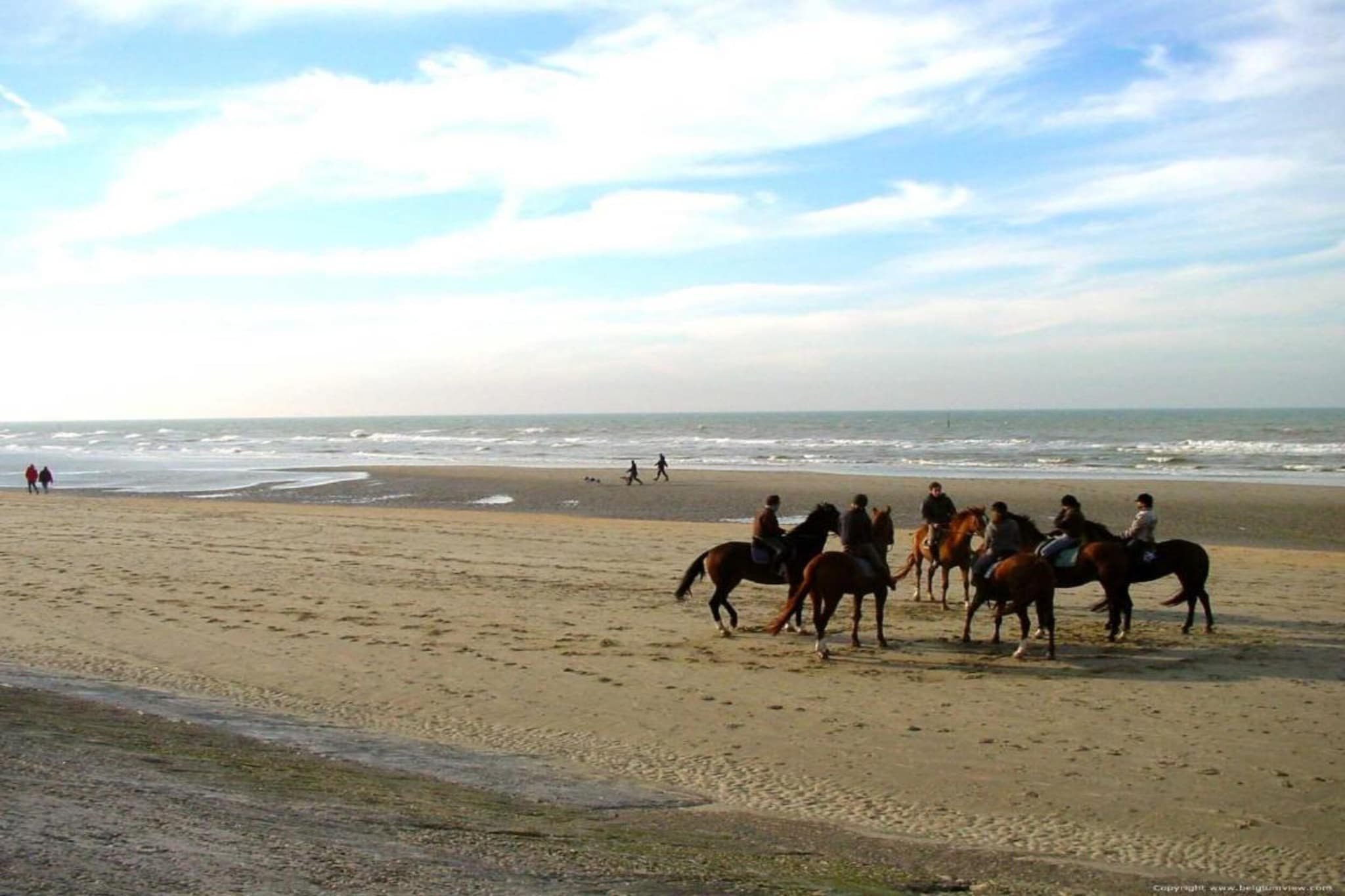 SEASIGHT - 52-Gebieden zomer 1km