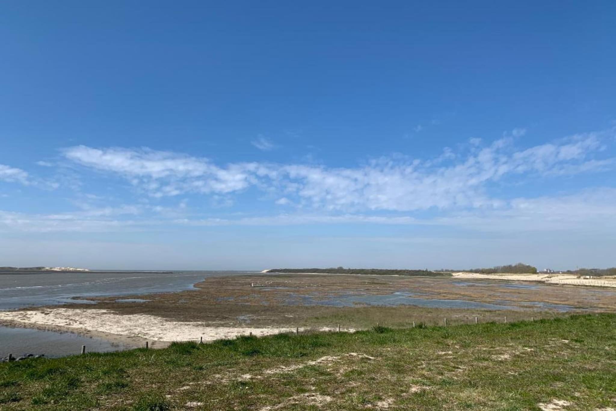 SEASIGHT - 52-Gebieden zomer 1km
