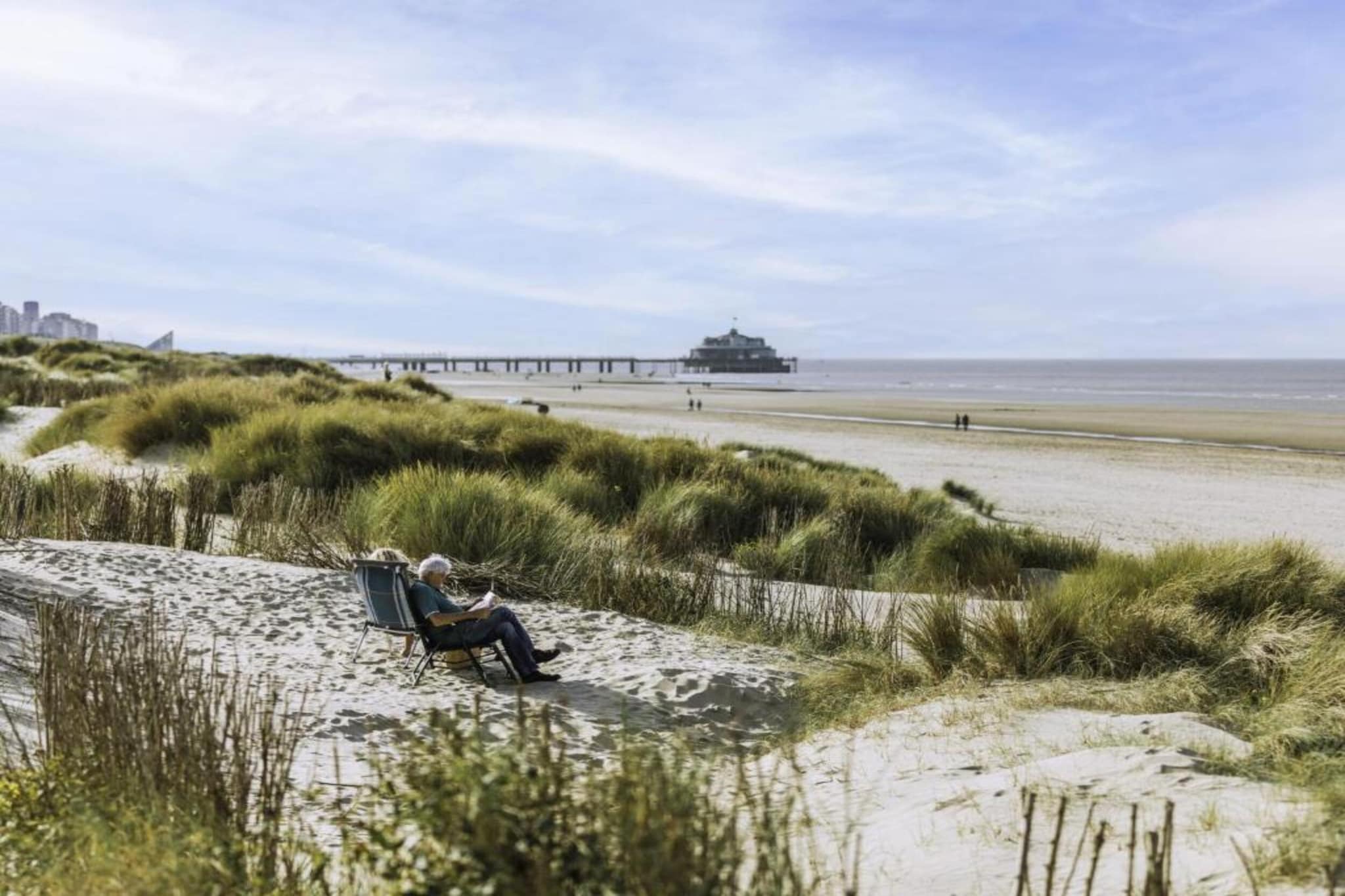 SEASIGHT - 52-Gebieden zomer 1km