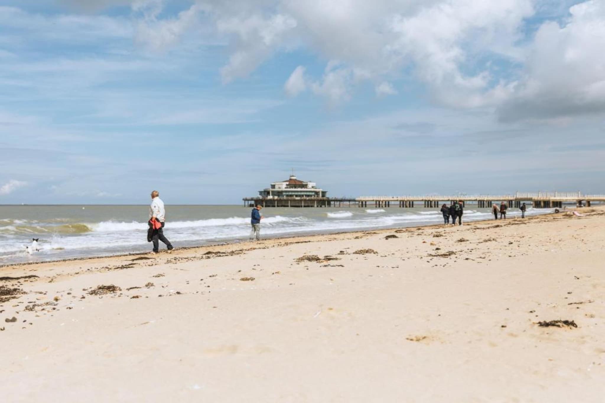SEASIGHT - 52-Gebieden zomer 1km