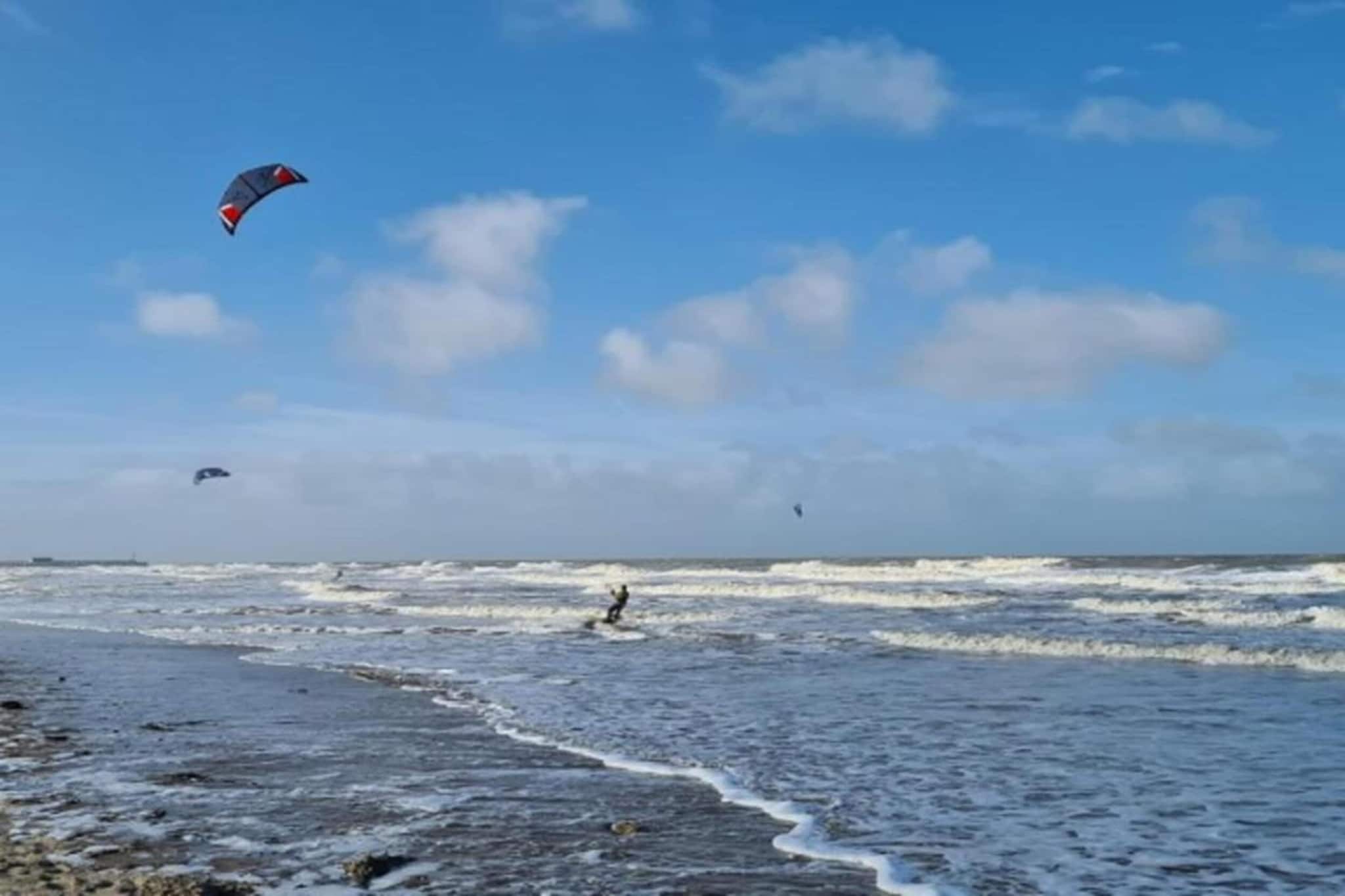 SEASIGHT - 52-Gebieden zomer 1km