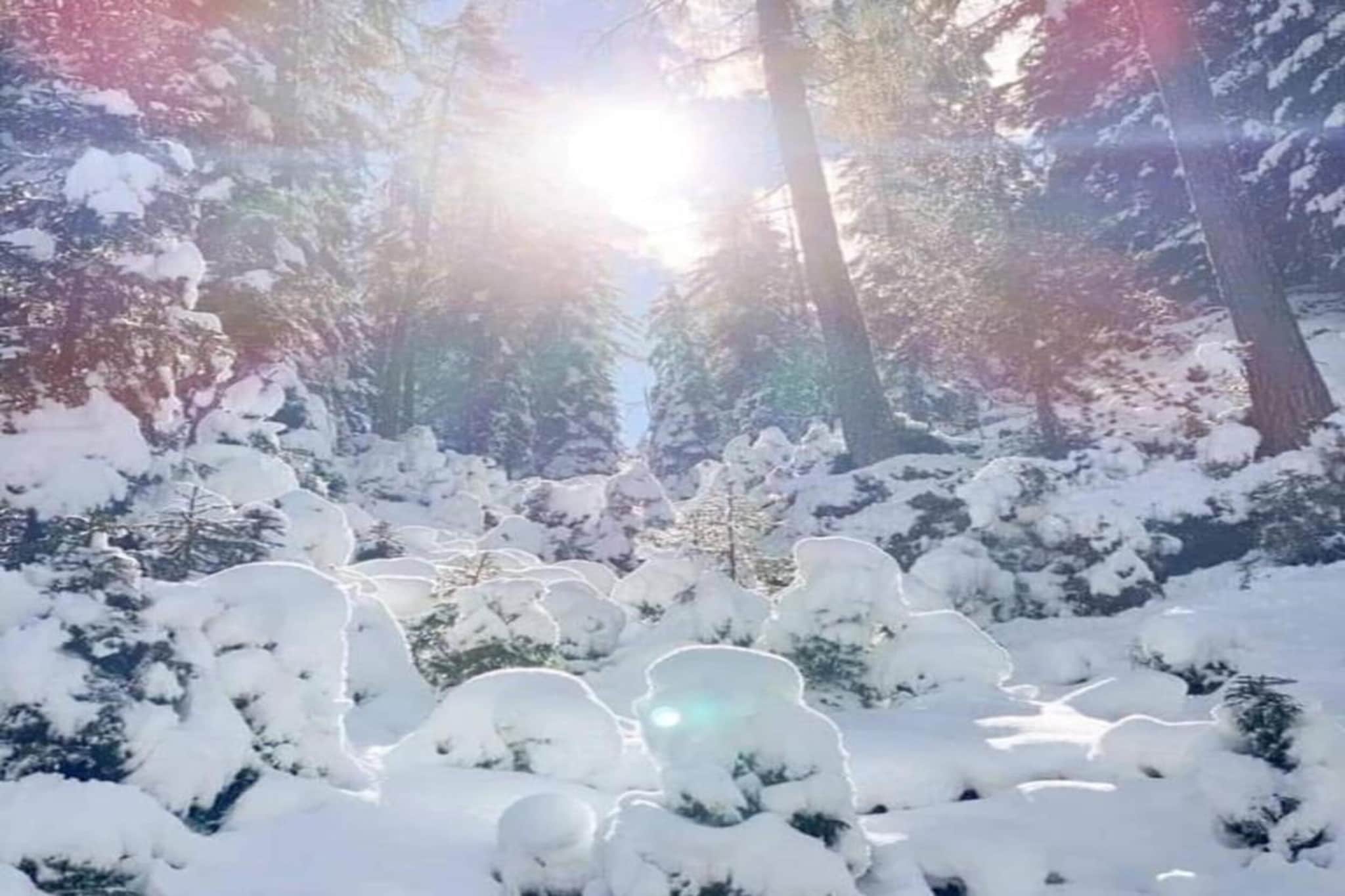 Ferienwohnung Jutta-Gebiet Winter 20 km