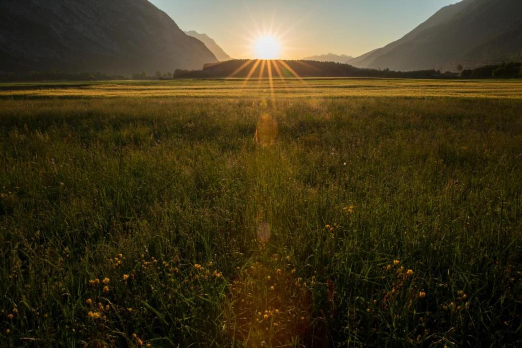 Ferienwohnung Jutta-Gebiete Sommer 20 km