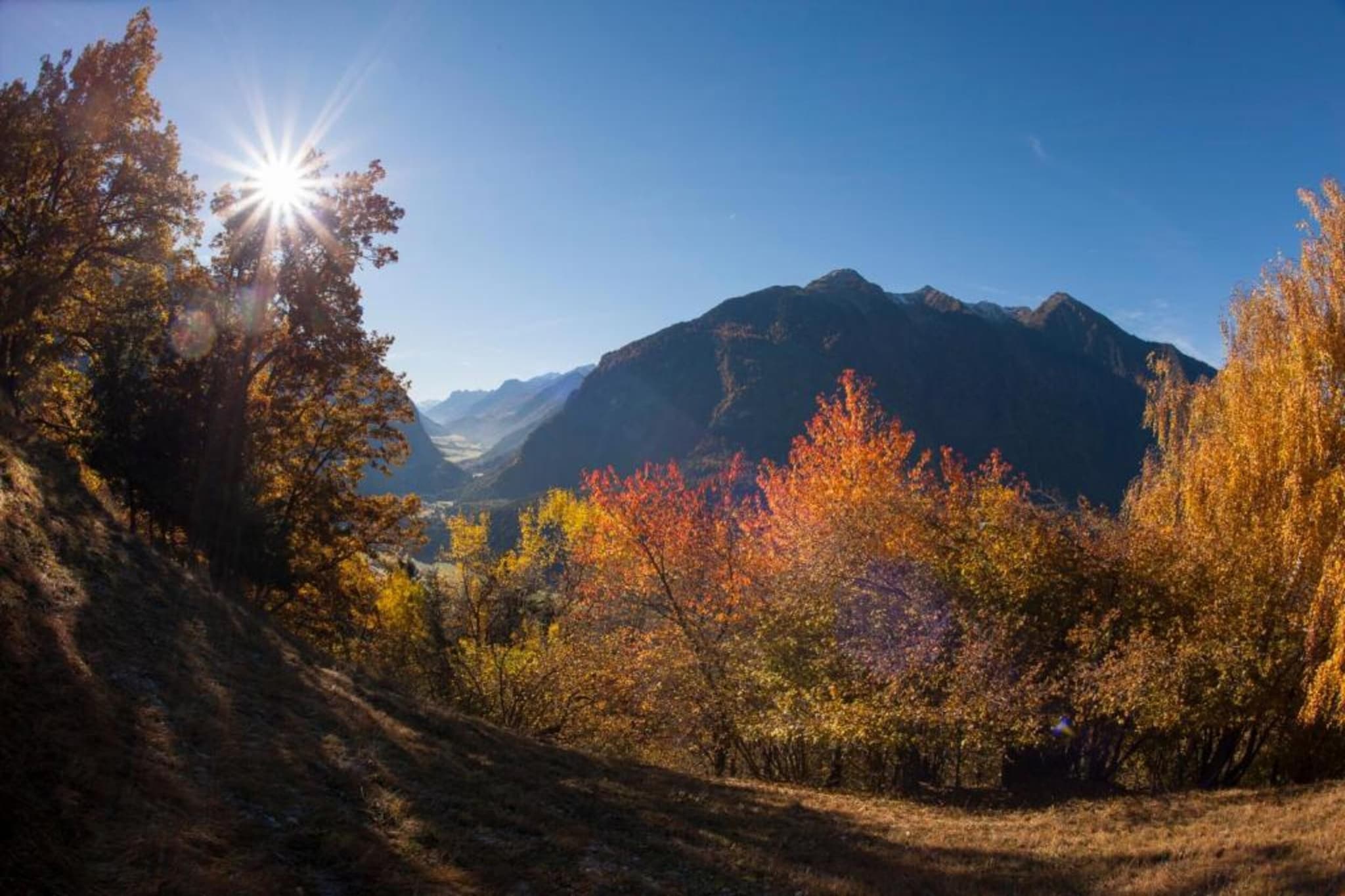 Ferienwohnung Jutta-Gebiete Sommer 20 km