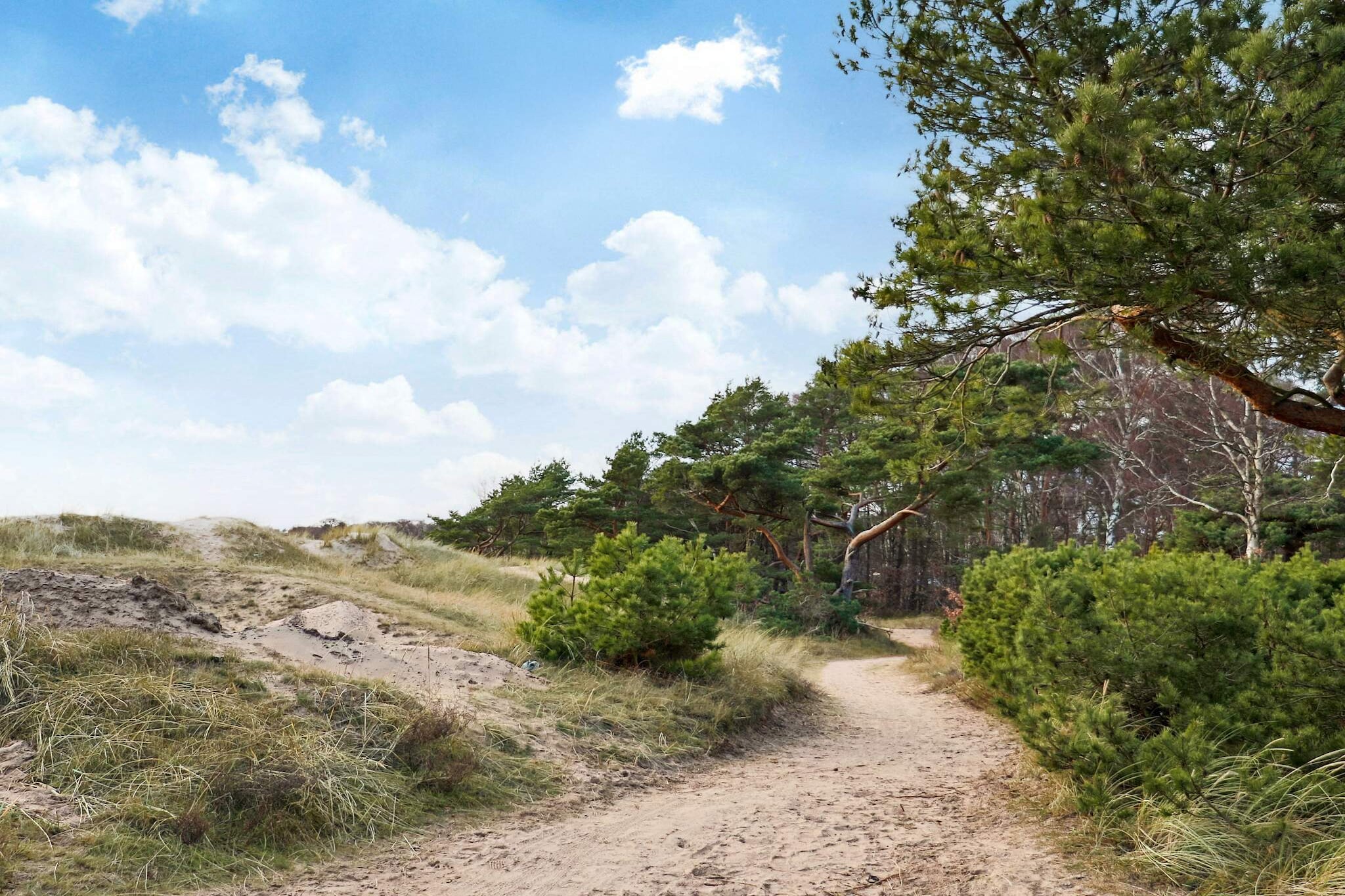 4 sterren vakantie huis in Halmstad-Niet-getagd