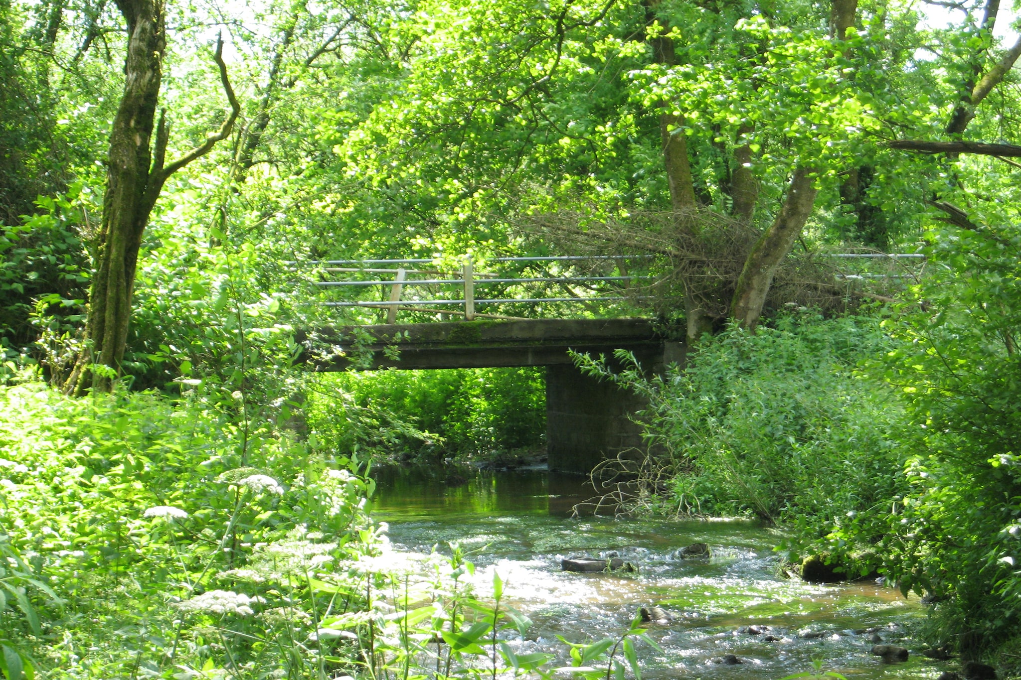 Ma Cabane-Areas summer 1km