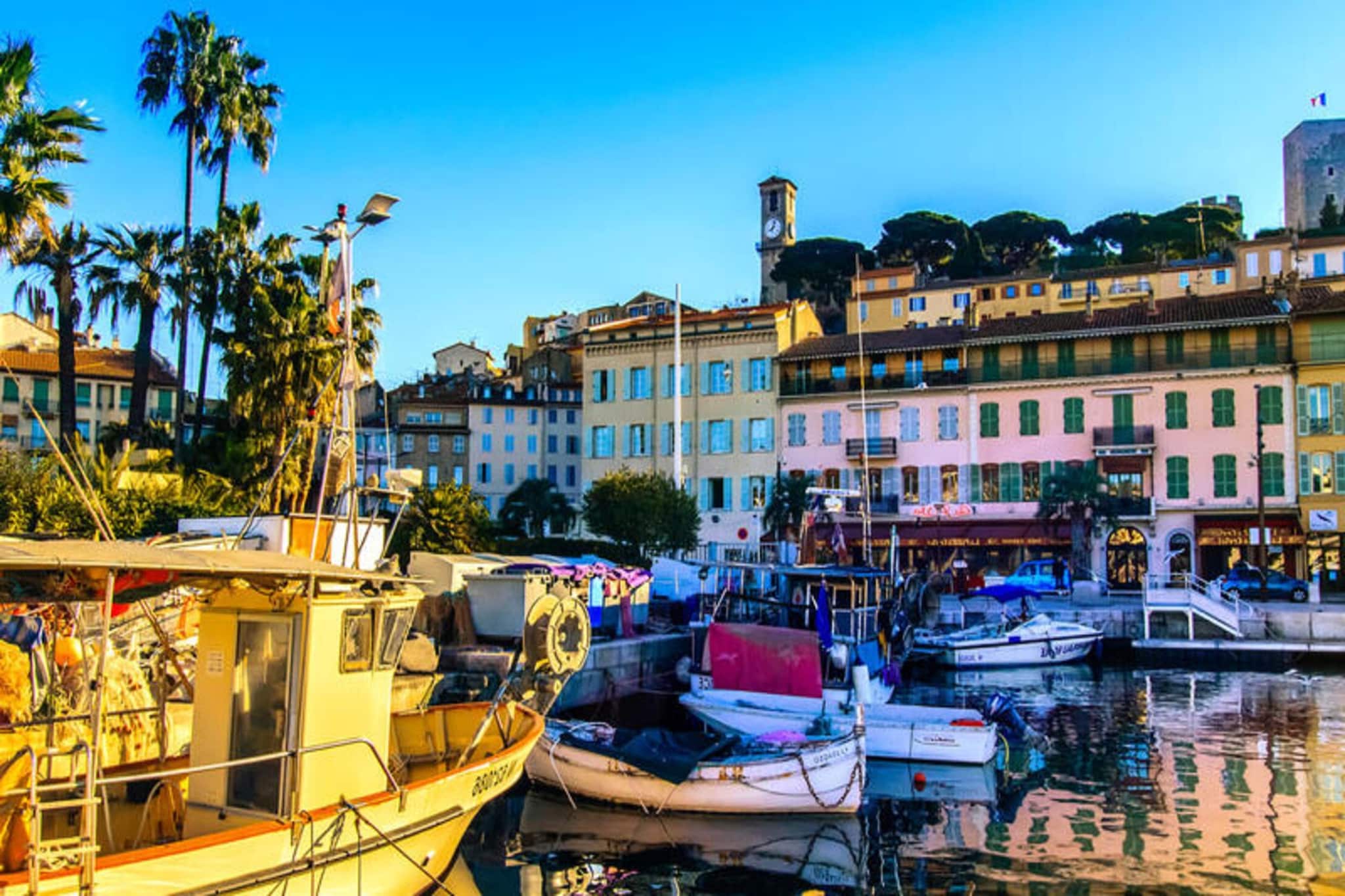 Charming Studio in Cannes for Congress