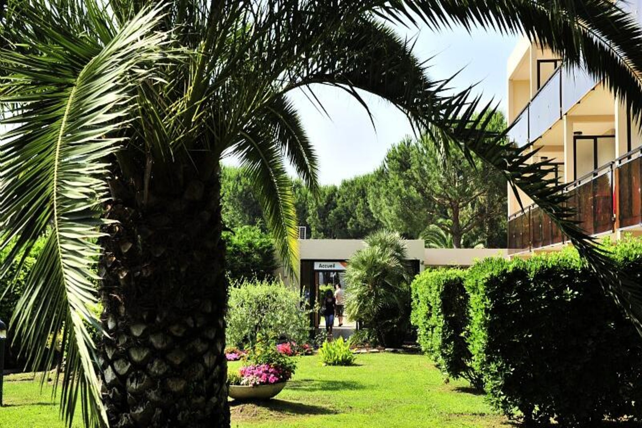 Apartment in Mandelieu near Cannes Beaches