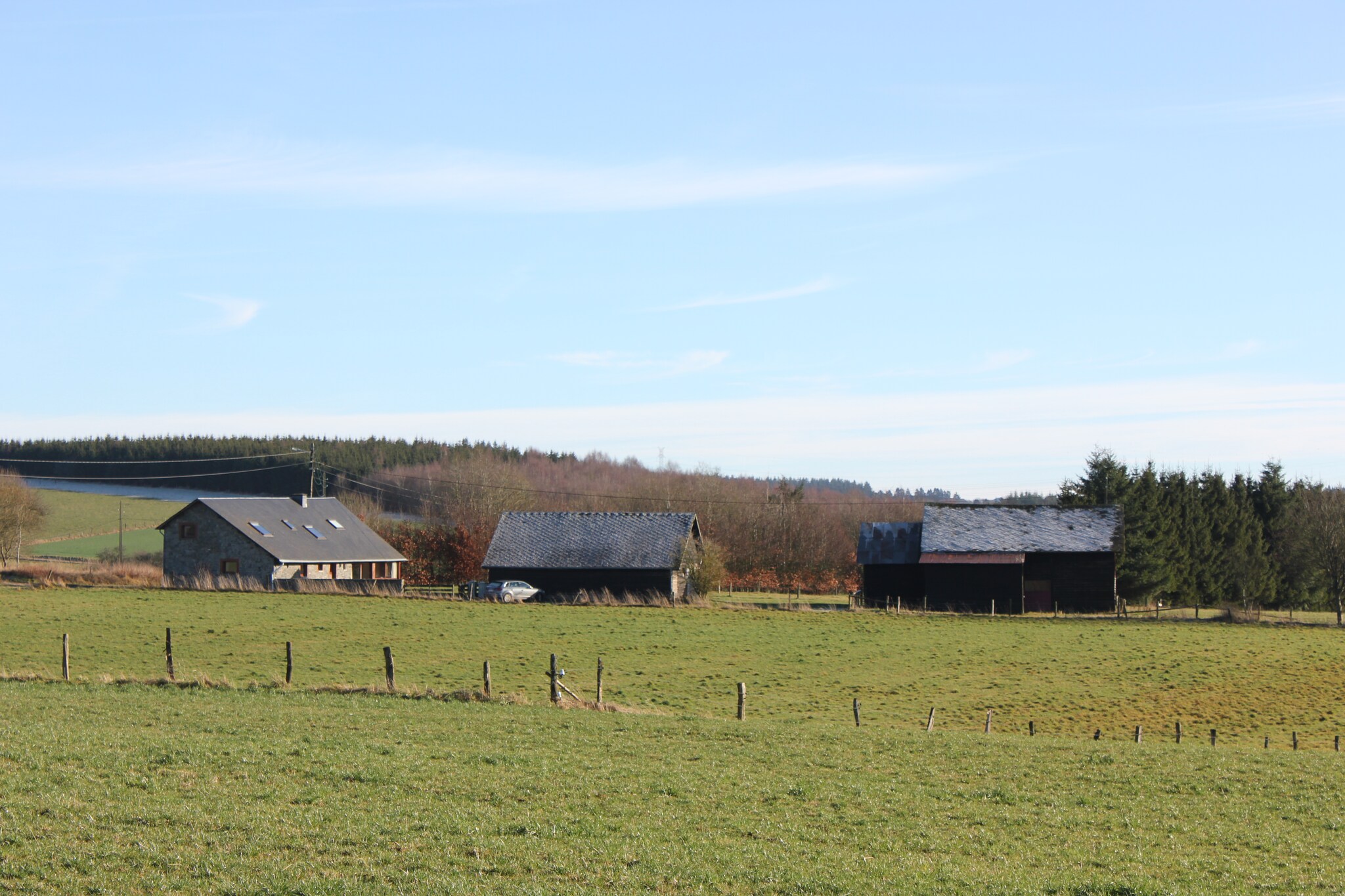 Vakantiehuis Longchamps-Bertogne-Bastogne max. 12 personen 2 huisdieren 6 slaapkamers #4