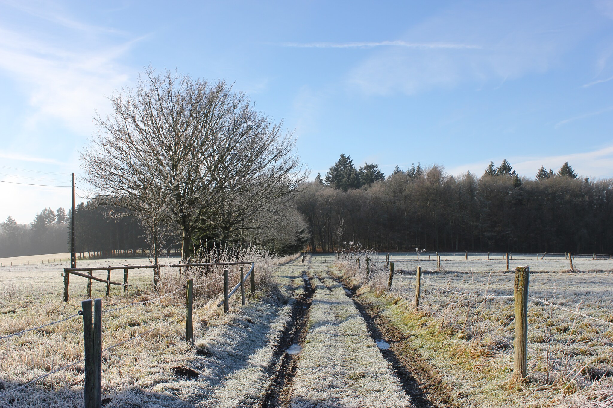 Vakantiehuis Longchamps-Bertogne-Bastogne max. 12 personen 2 huisdieren 6 slaapkamers #25