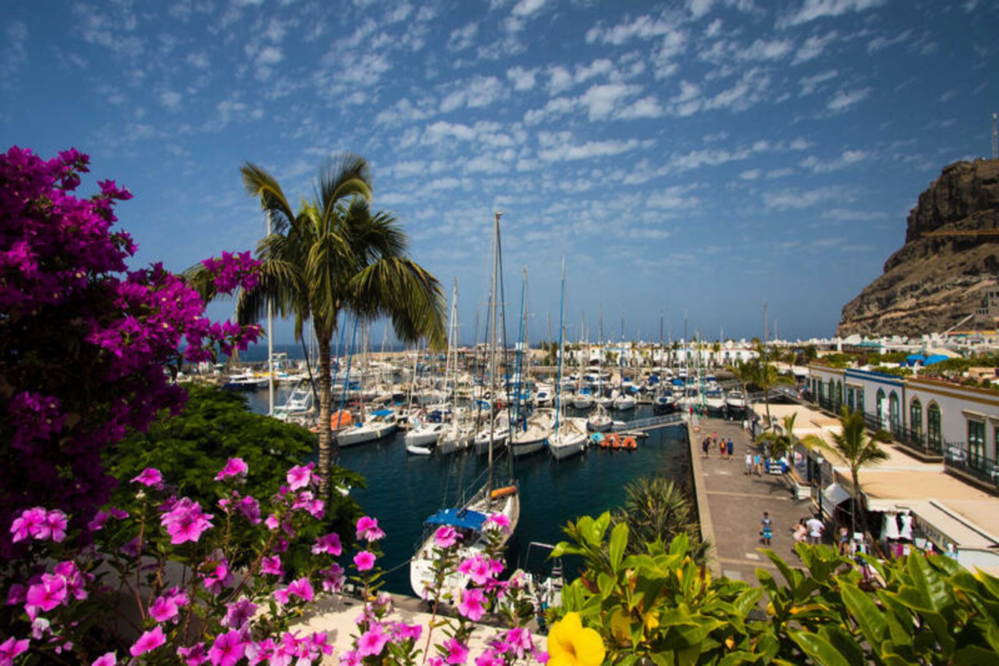 Maison à Las Palmas de Gran Canaria-Image-tags.