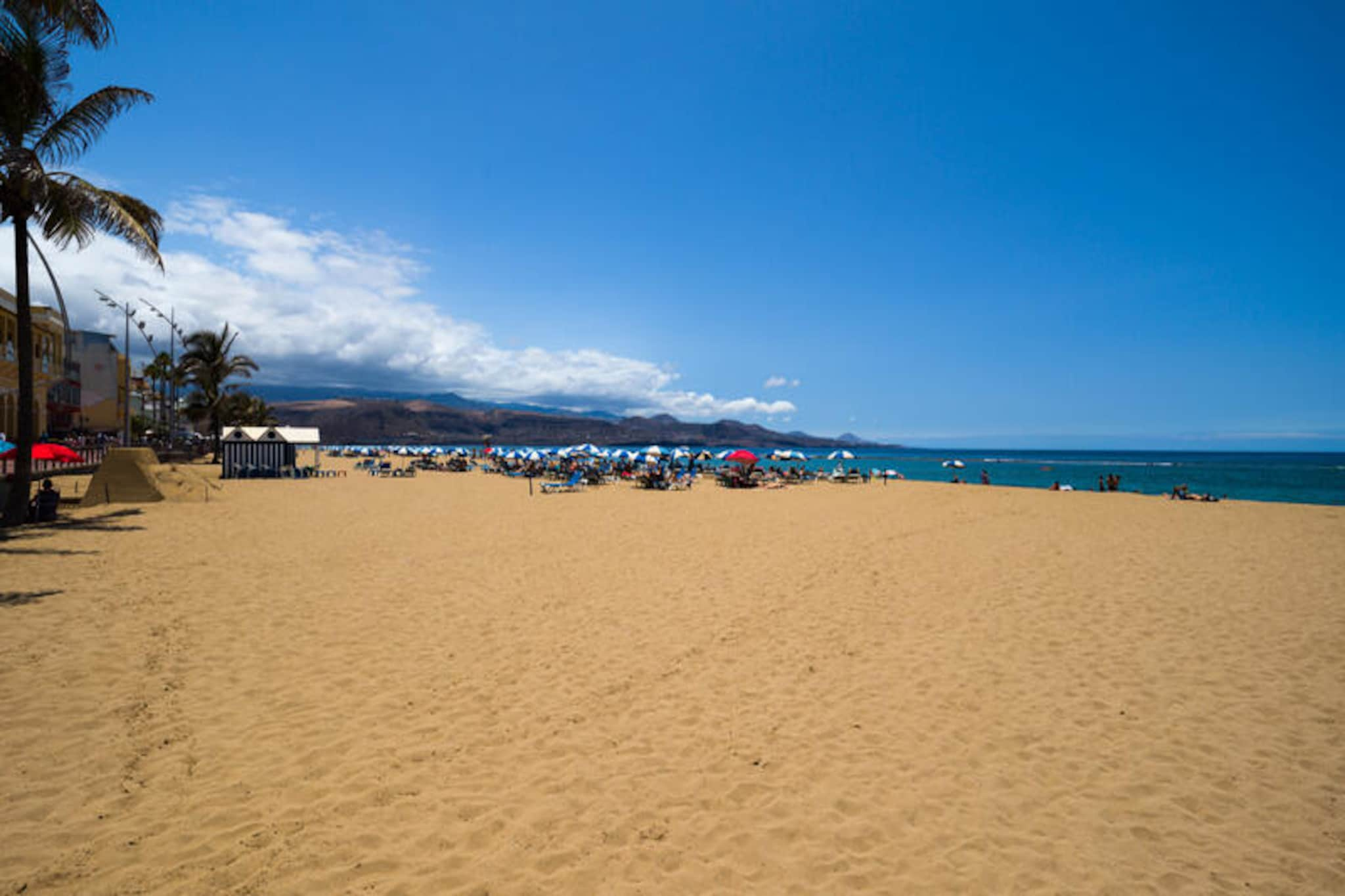 Studio à Las Palmas de Gran Canaria-Image-tags.