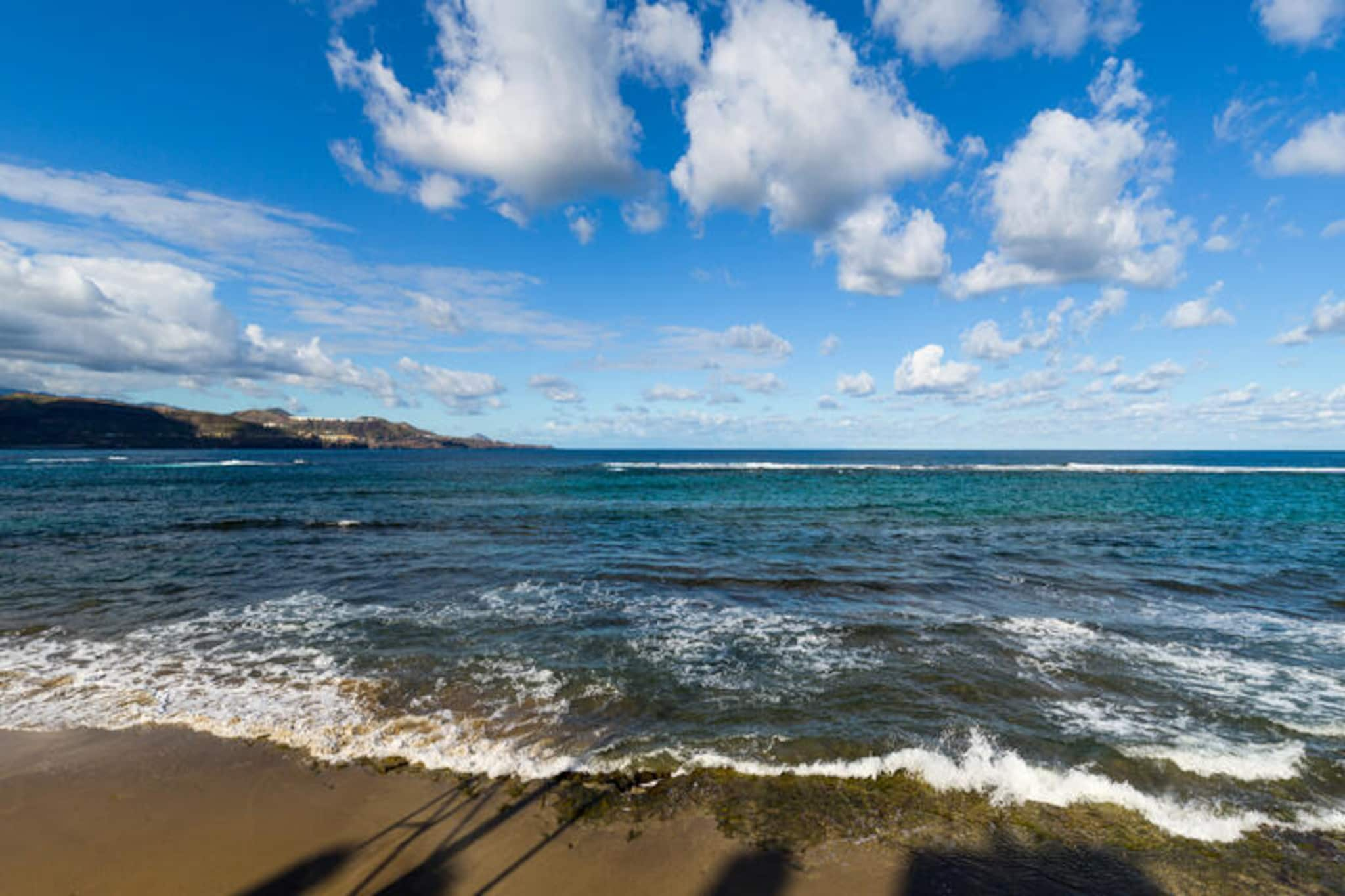 Studio à Las Palmas de Gran Canaria-Image-tags.