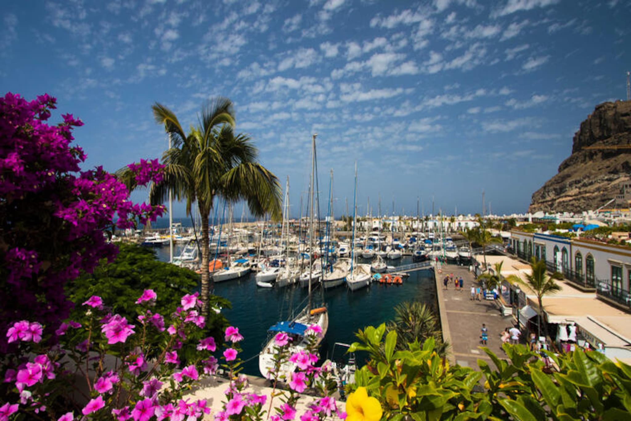 Maison à Las Palmas de Gran Canaria-Image-tags.