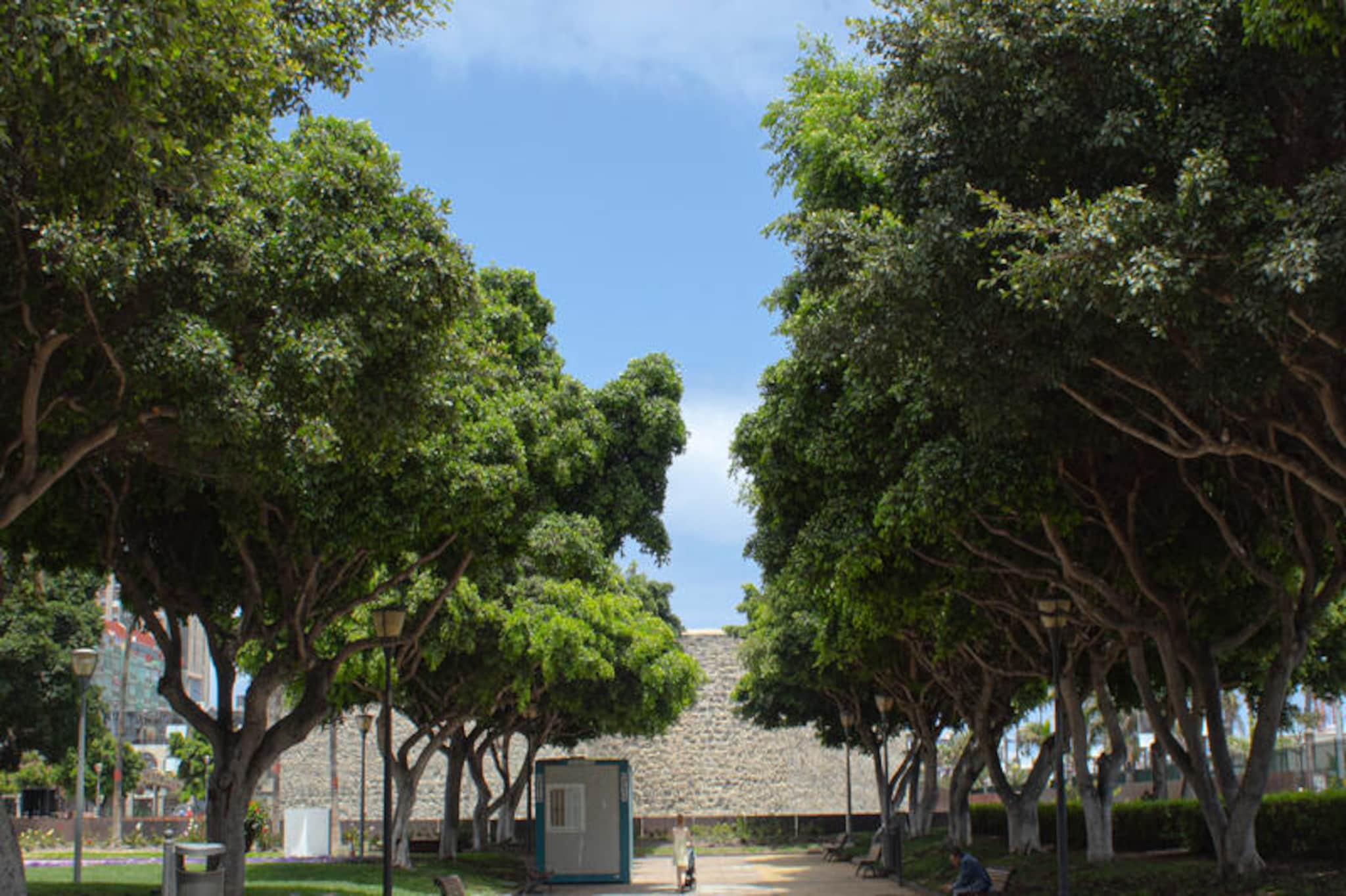 Maison à Las Palmas de Gran Canaria-Image-tags.