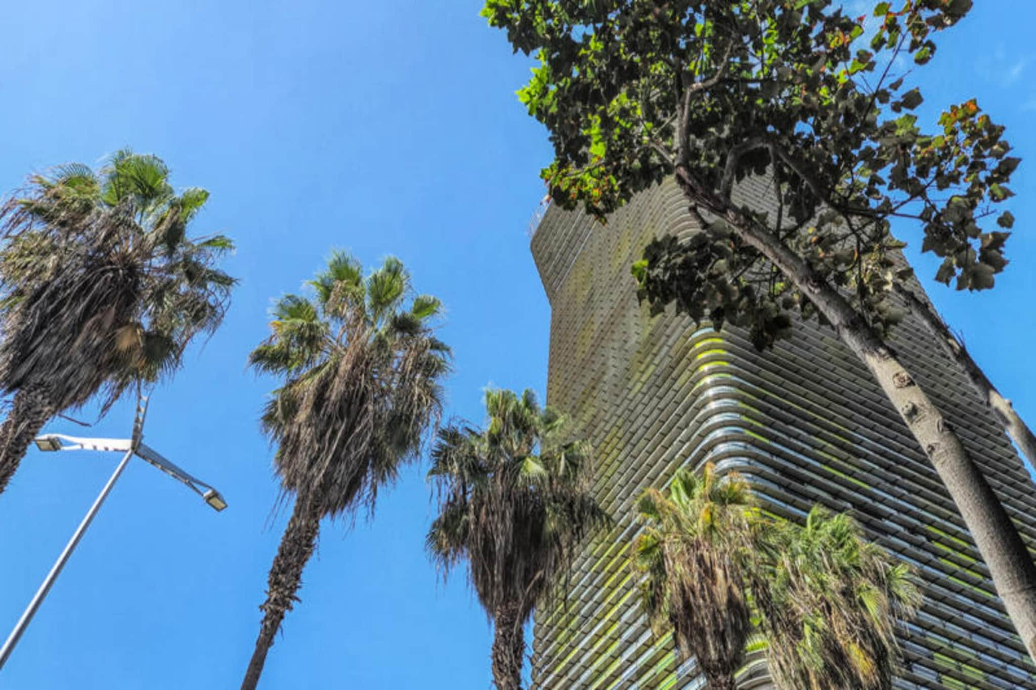 Studio à Las Palmas de Gran Canaria-Buitenkant zomer