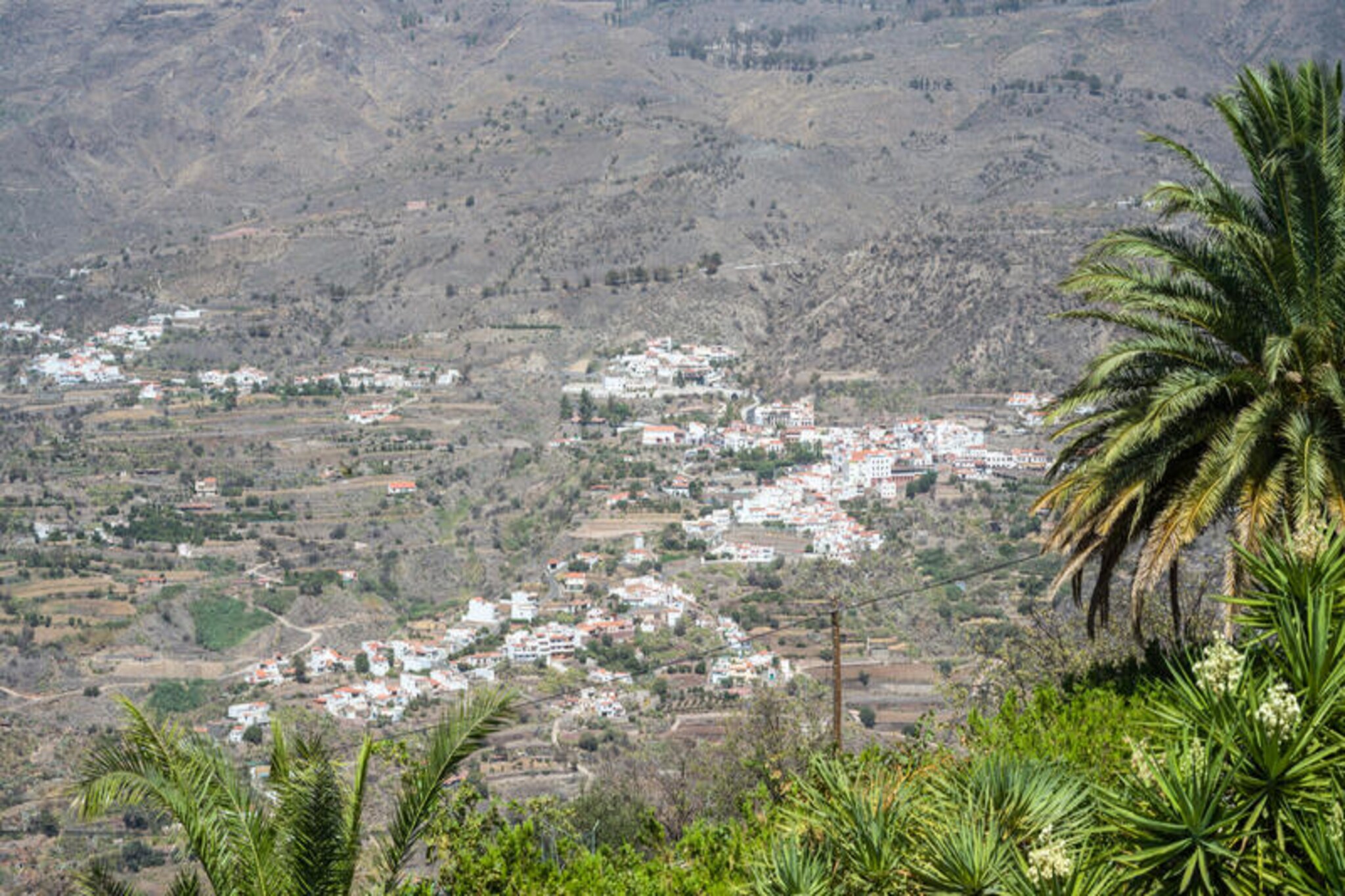 Chalets à Tejeda-Image-tags.