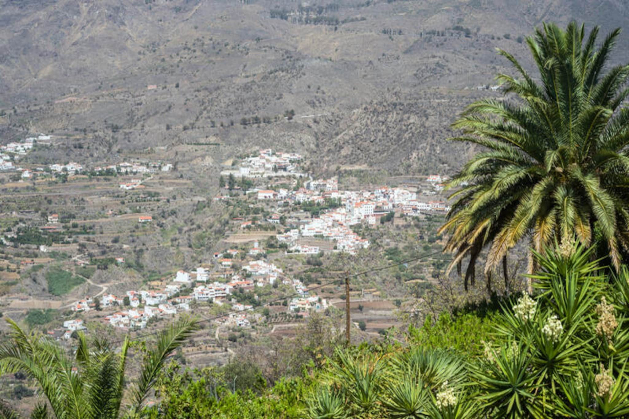 Chalets à Tejeda-Image-tags.