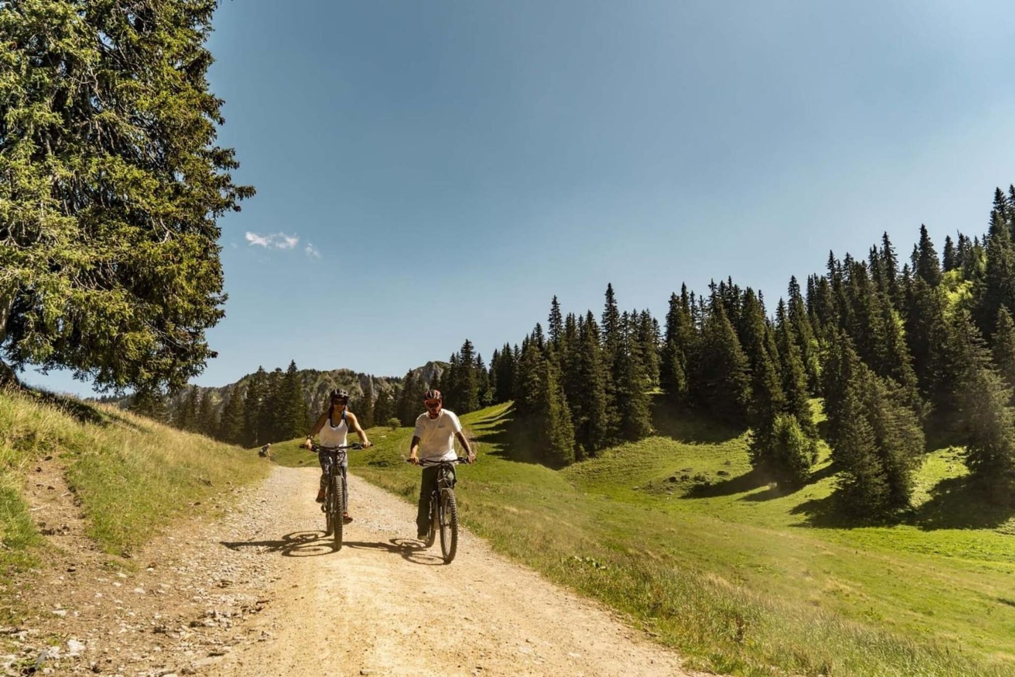 Alpenlake AP120 VIEW & NATURE 5 pers.-Gebieden zomer 5km