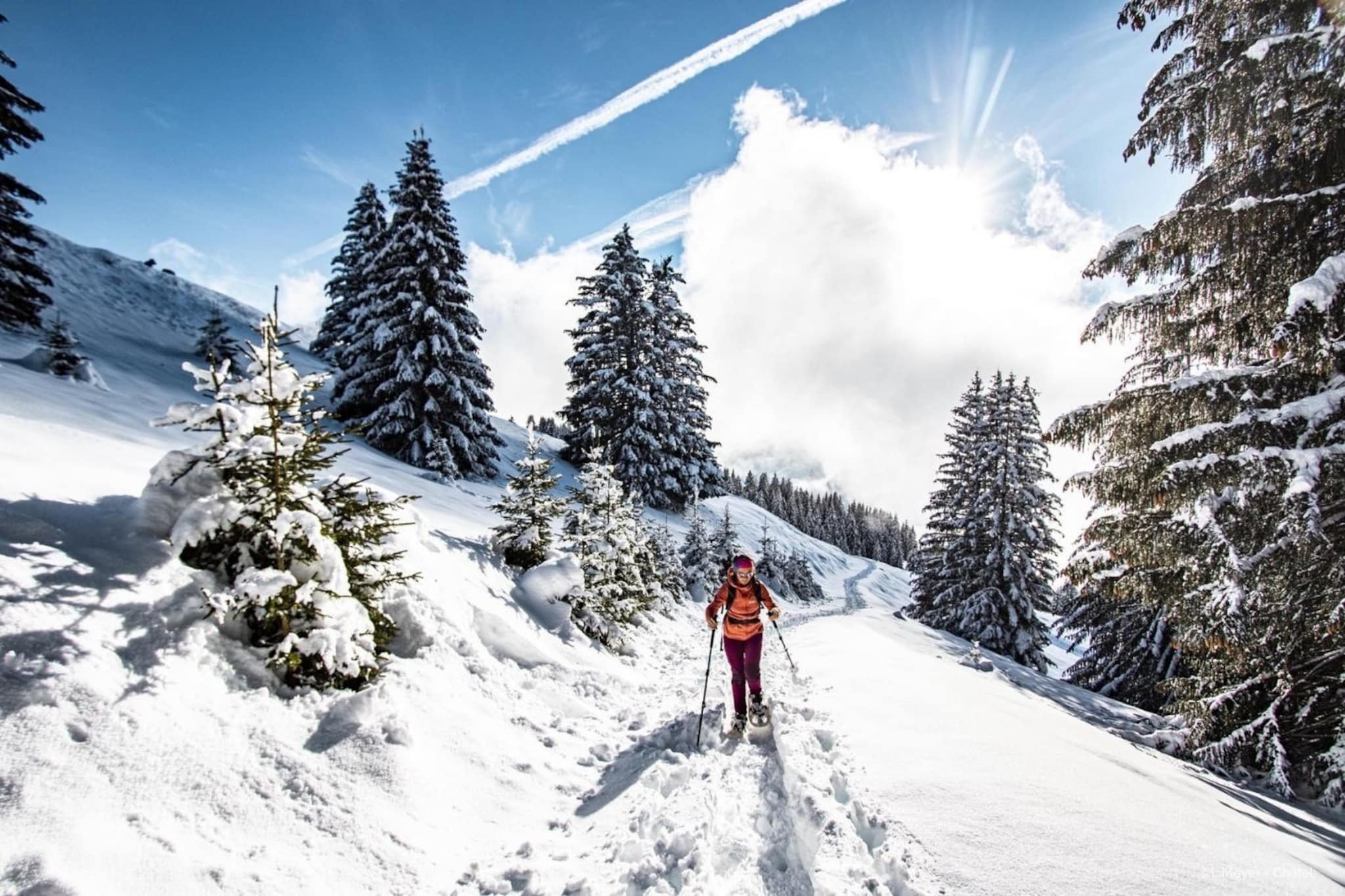 Apartment in Portes du Soleil ski area