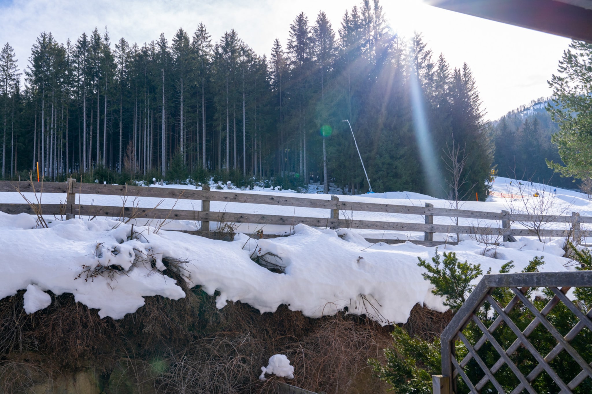 AlpenSafari Design-Outdoor