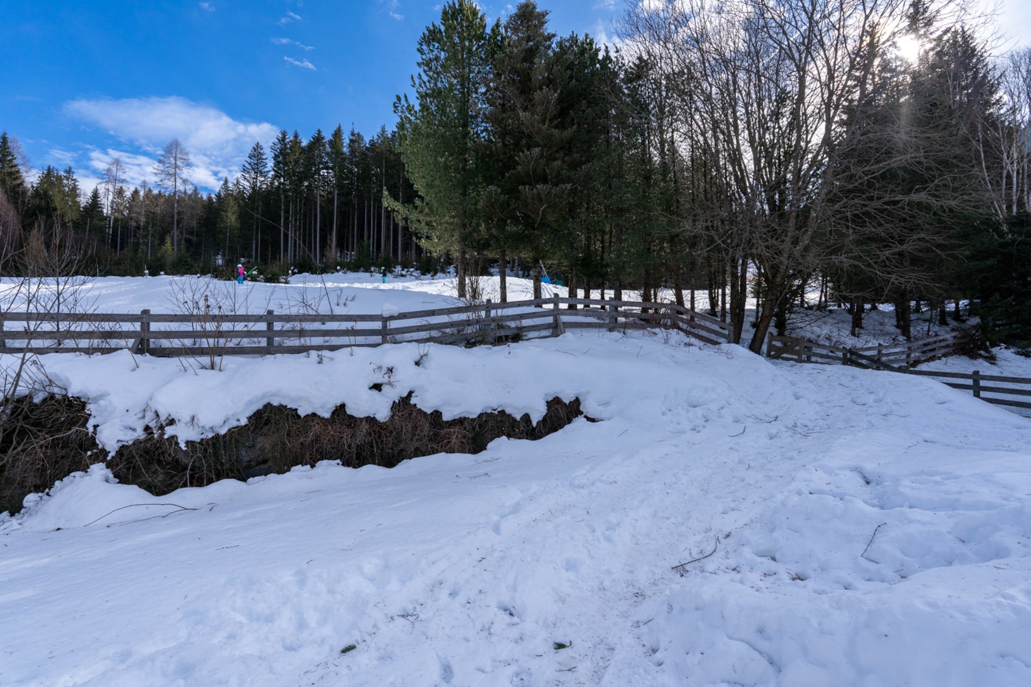 AlpenSafari Design-Outdoor
