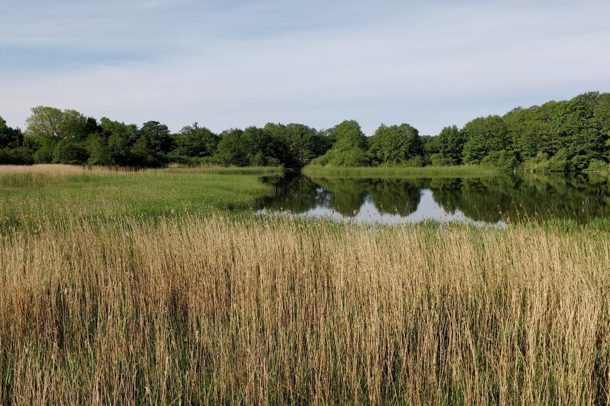 Vreedzame hut in Ebeltoft-Waterzicht
