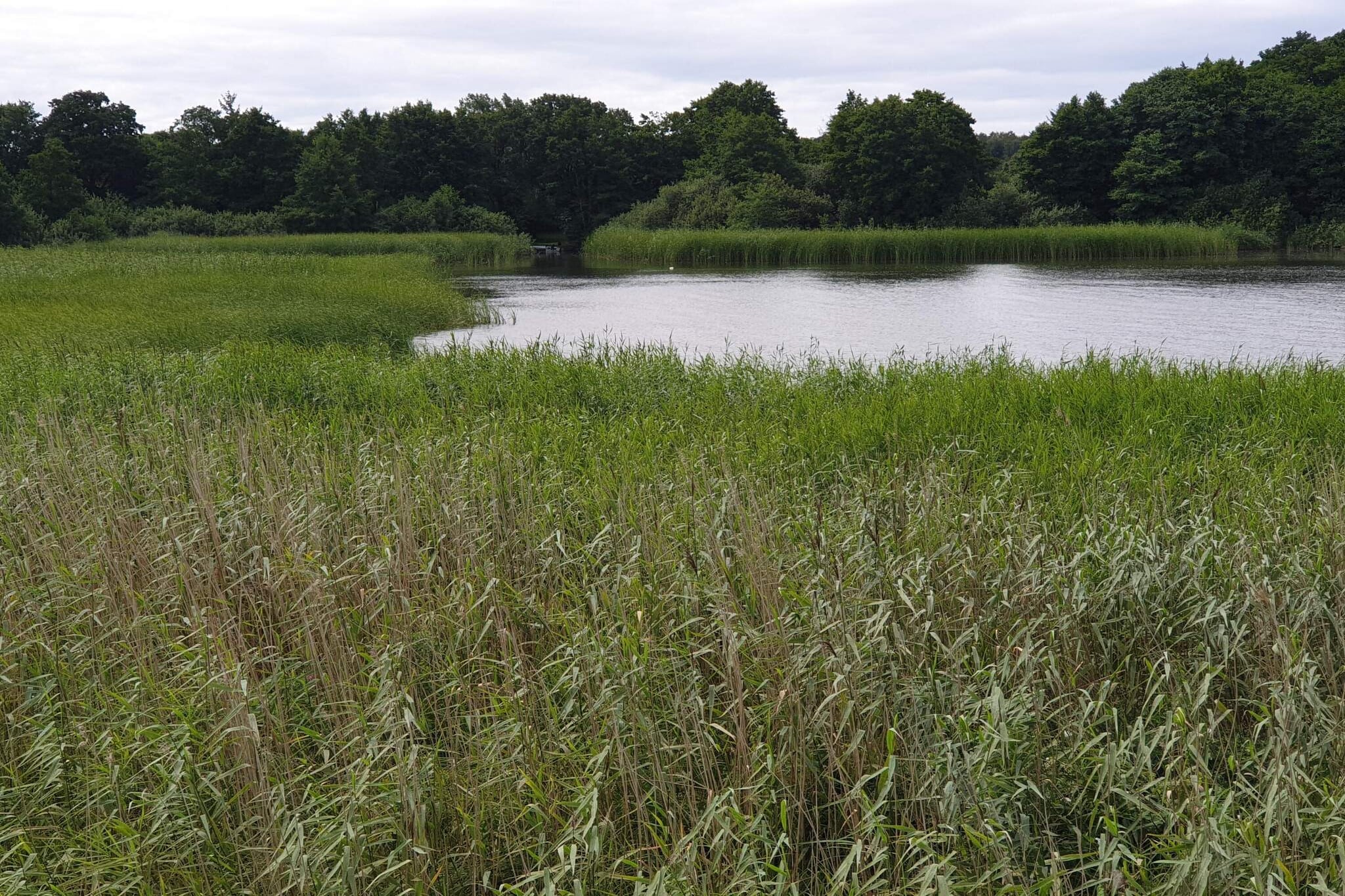 Vreedzame hut in Ebeltoft-Waterzicht