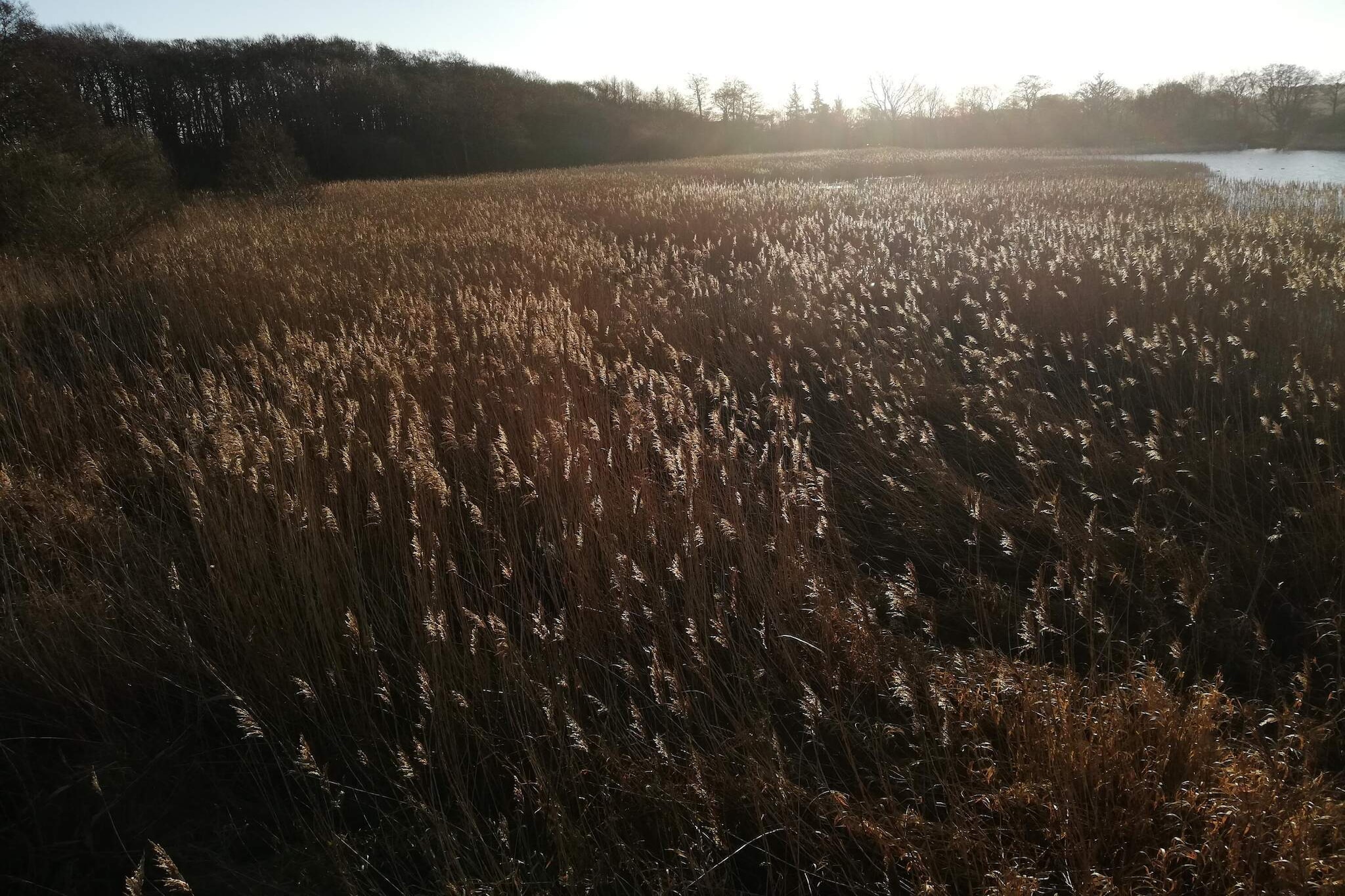 Vreedzame hut in Ebeltoft-Waterzicht