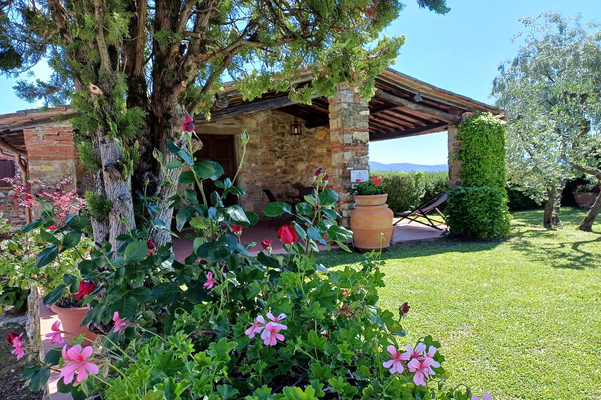 Agriturismo Podere Ceccherini in San Leolino - La Loggia-Tuinen zomer