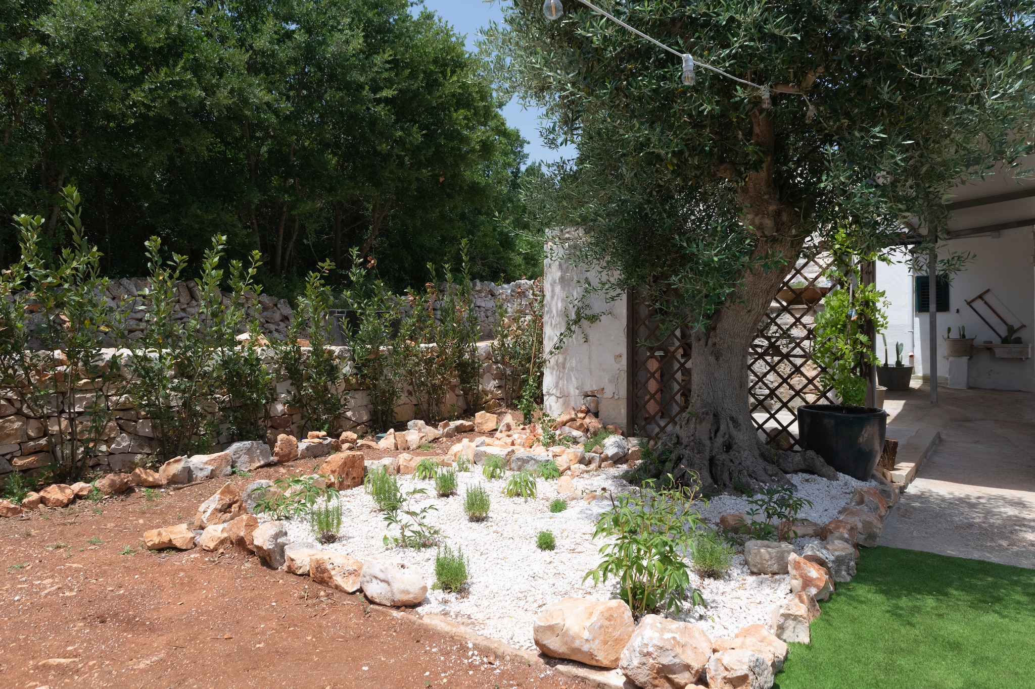 Lamia Papo in Ostuni-Gardens summer