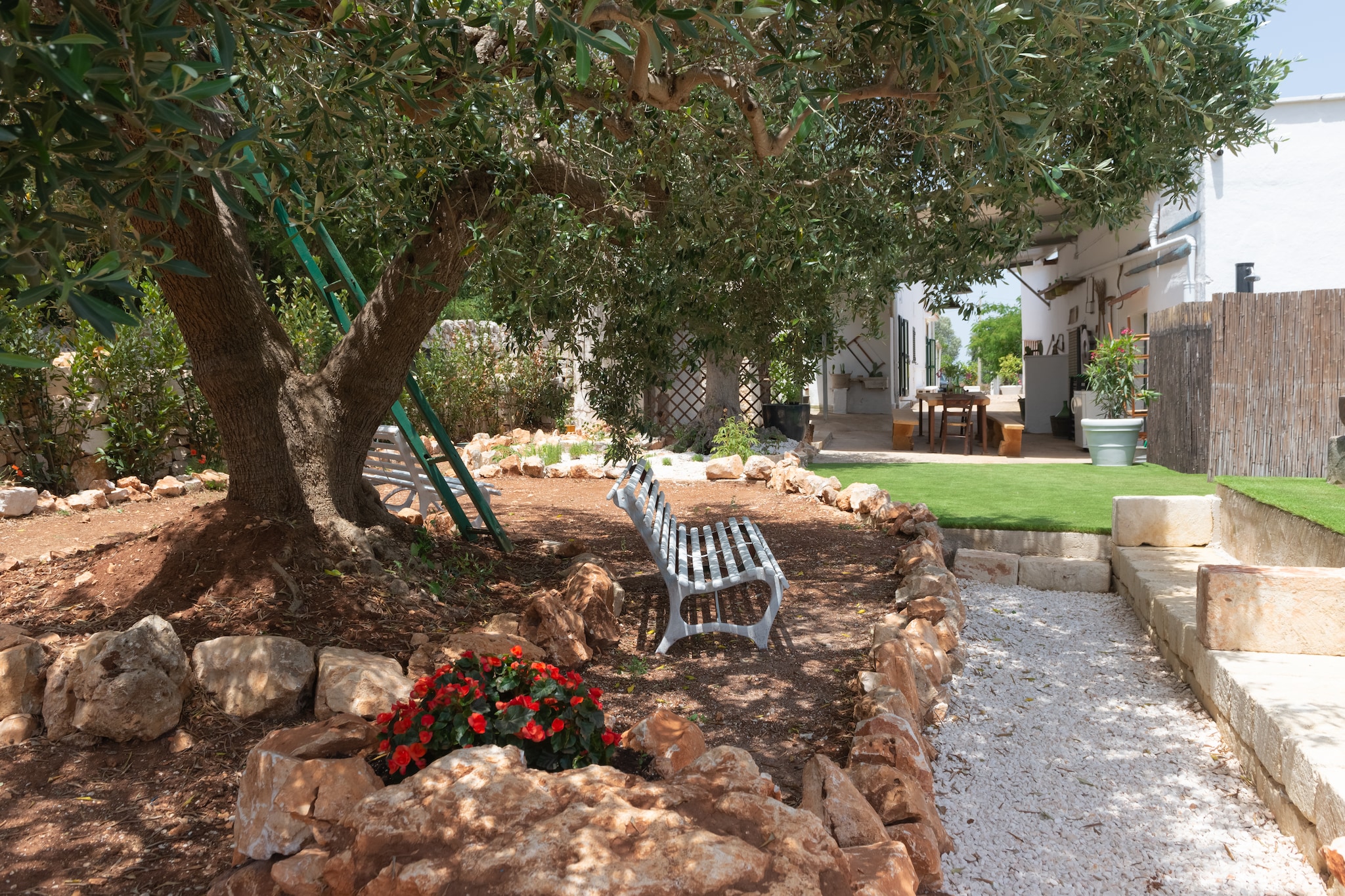 Lamia Papo in Ostuni-Gardens summer