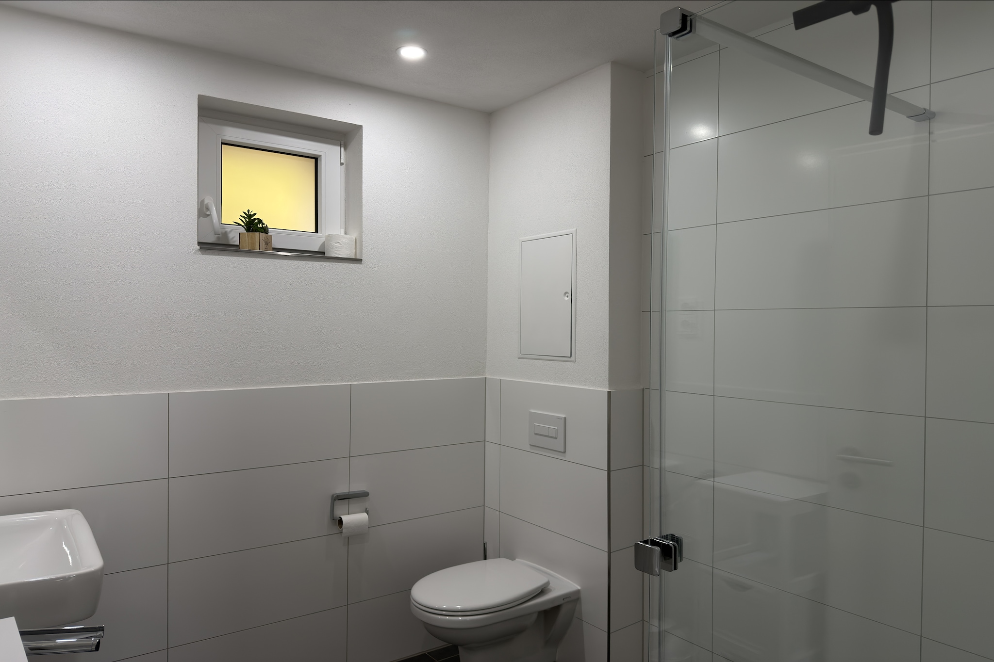 Altes Bootshaus 1 - Badkamer