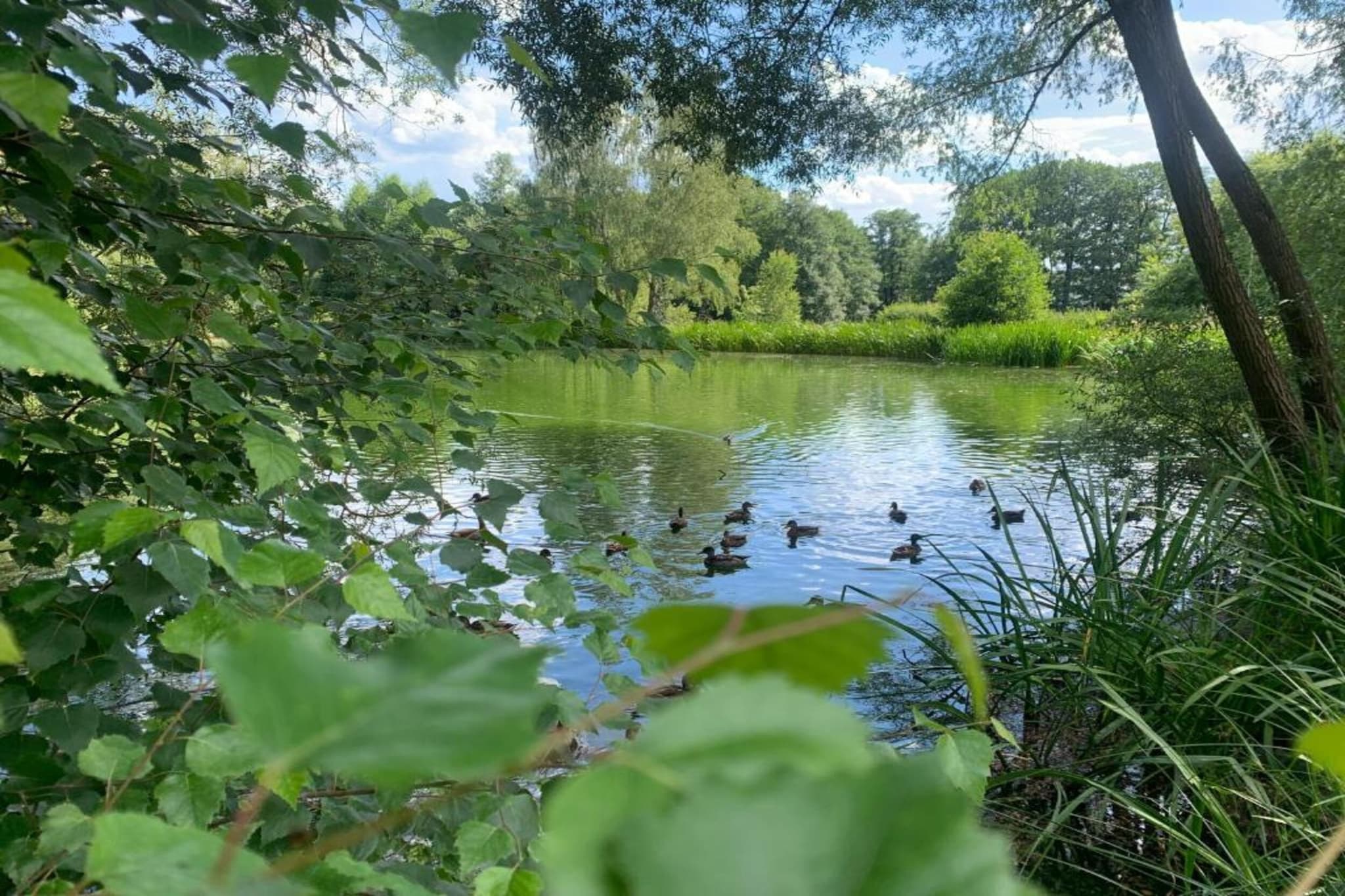 Altes Bootshaus 3-Gebieden zomer 20km