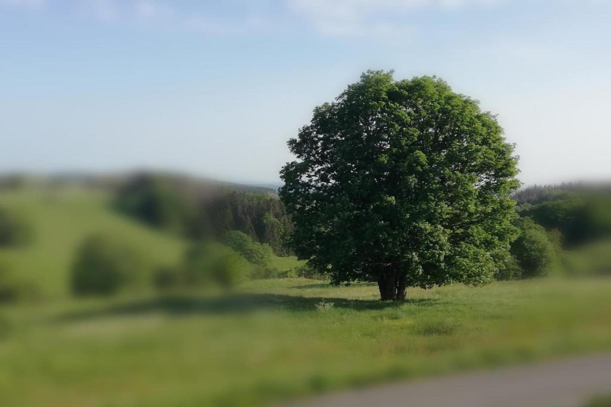 Altes Bootshaus 3-Gebieden zomer 20km