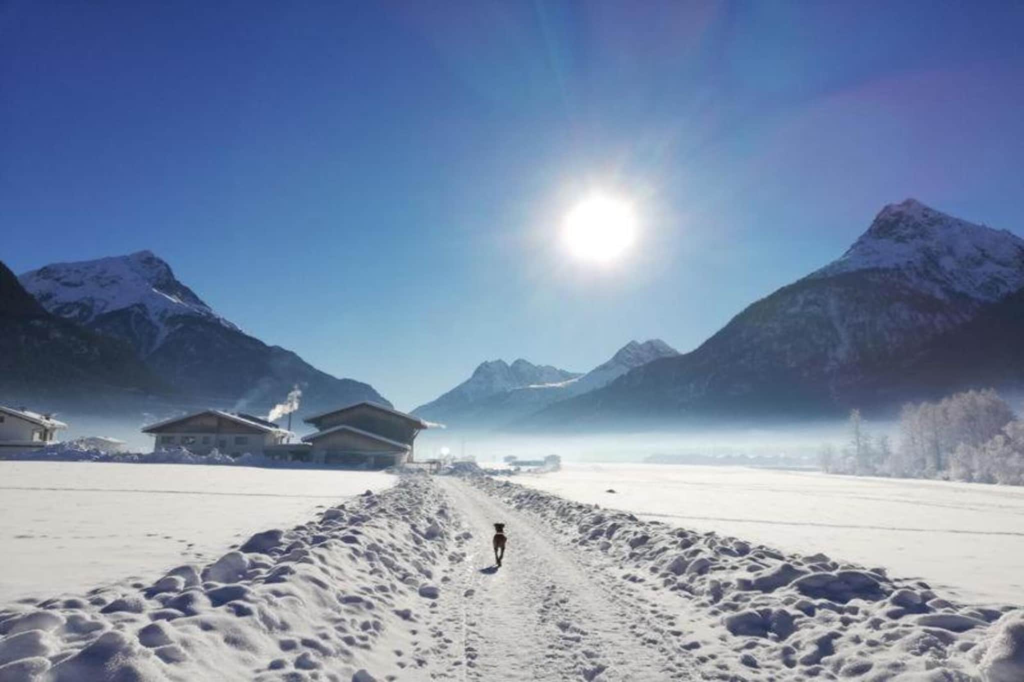 Alpenchalet Biberwier 1-Gebied winter 20km