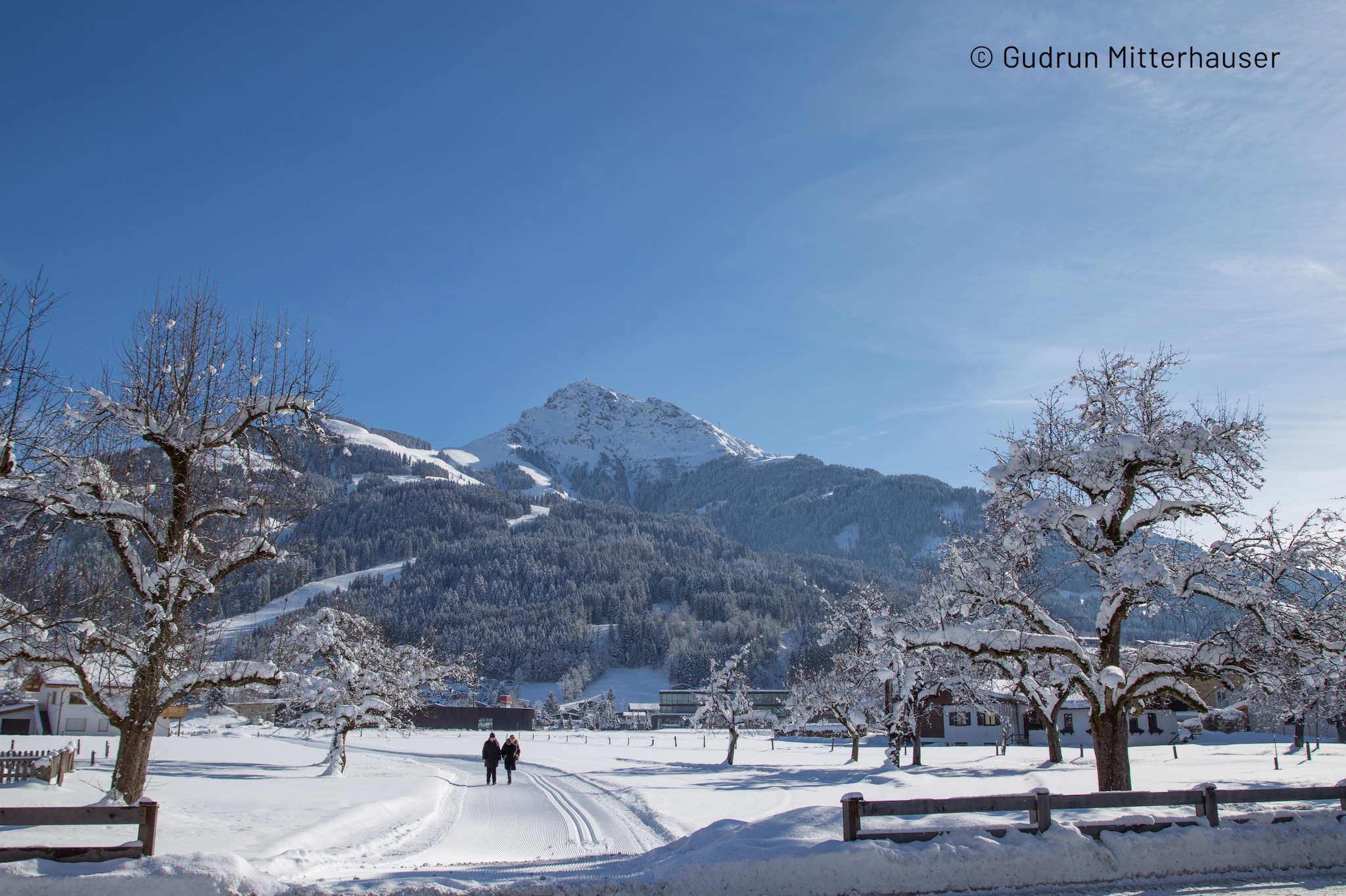 Kitzbühel Suites 3 - Gebied winter 1km