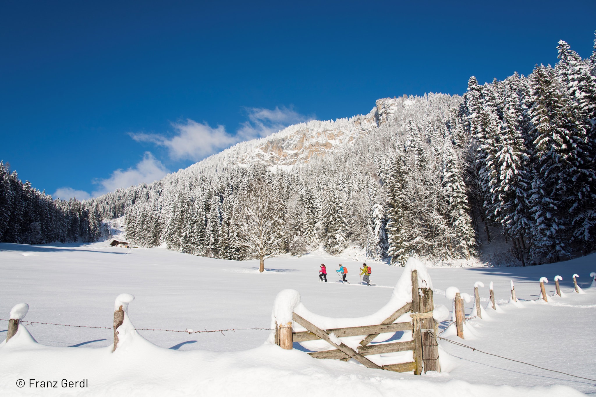 Kitzbühel Suites 3 - Gebied winter 5km