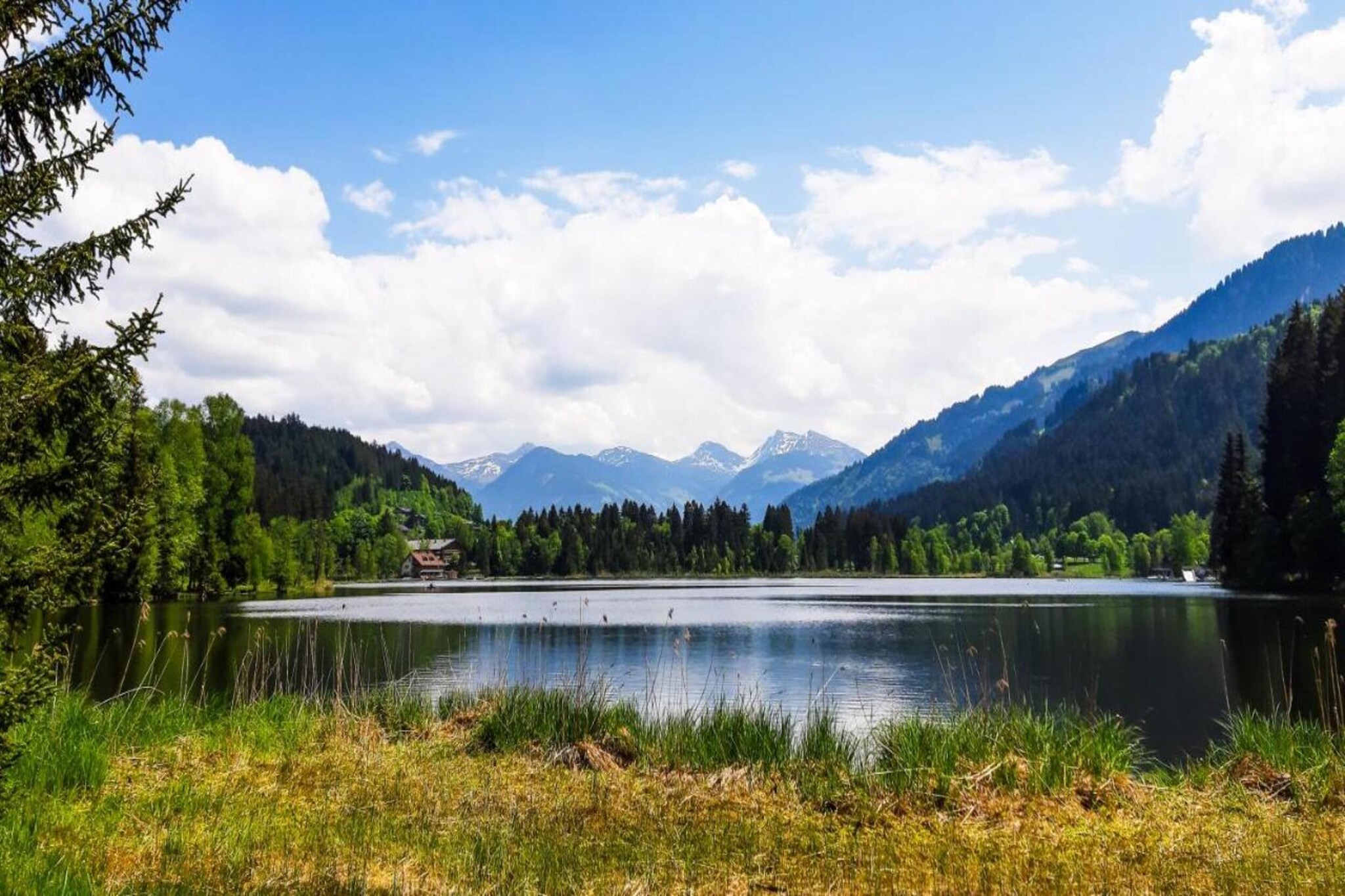 Kitzbühel Suites 3-Gebieden zomer 20km