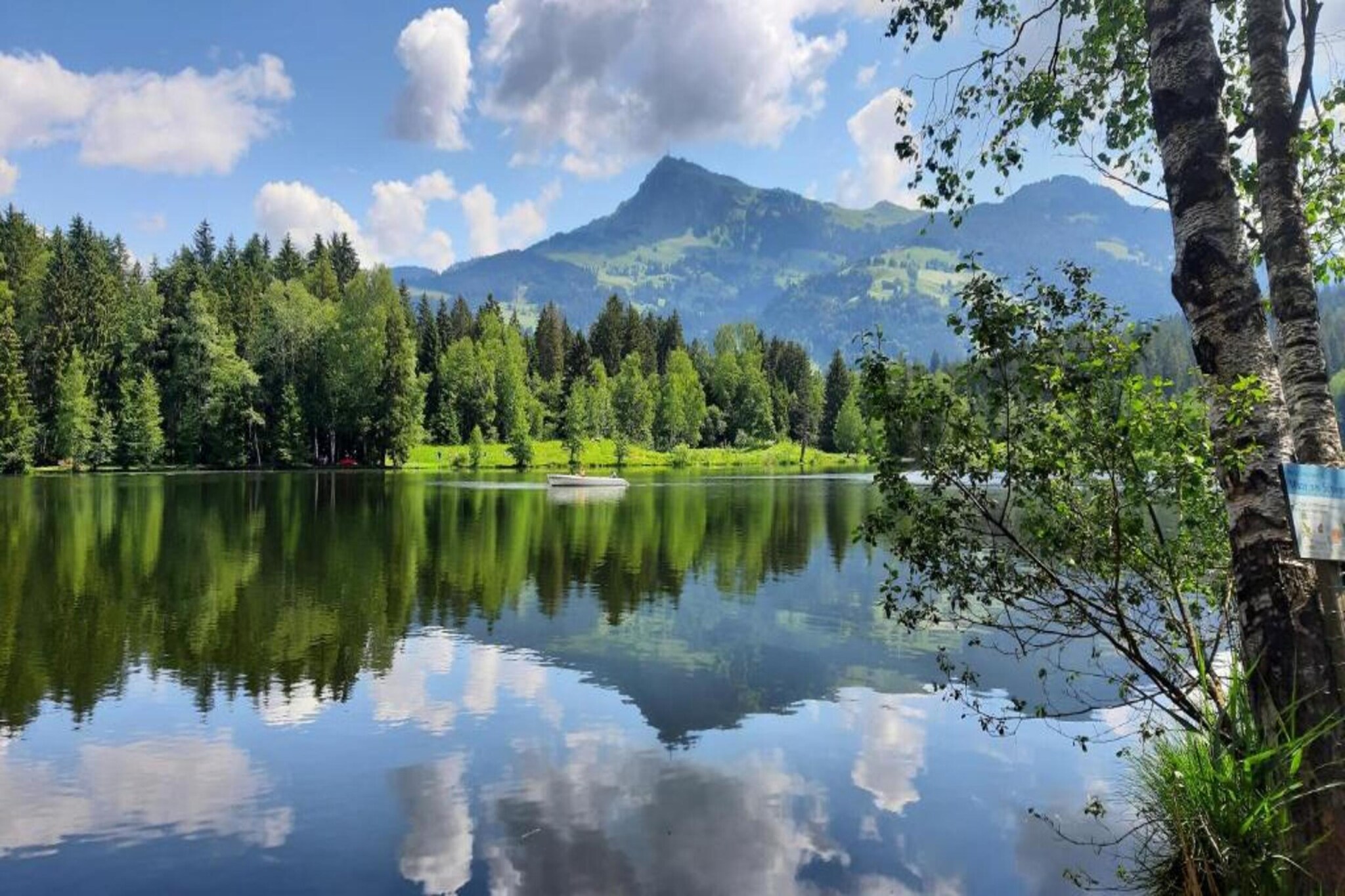Kitzbühel Suites 3-Gebieden zomer 20km
