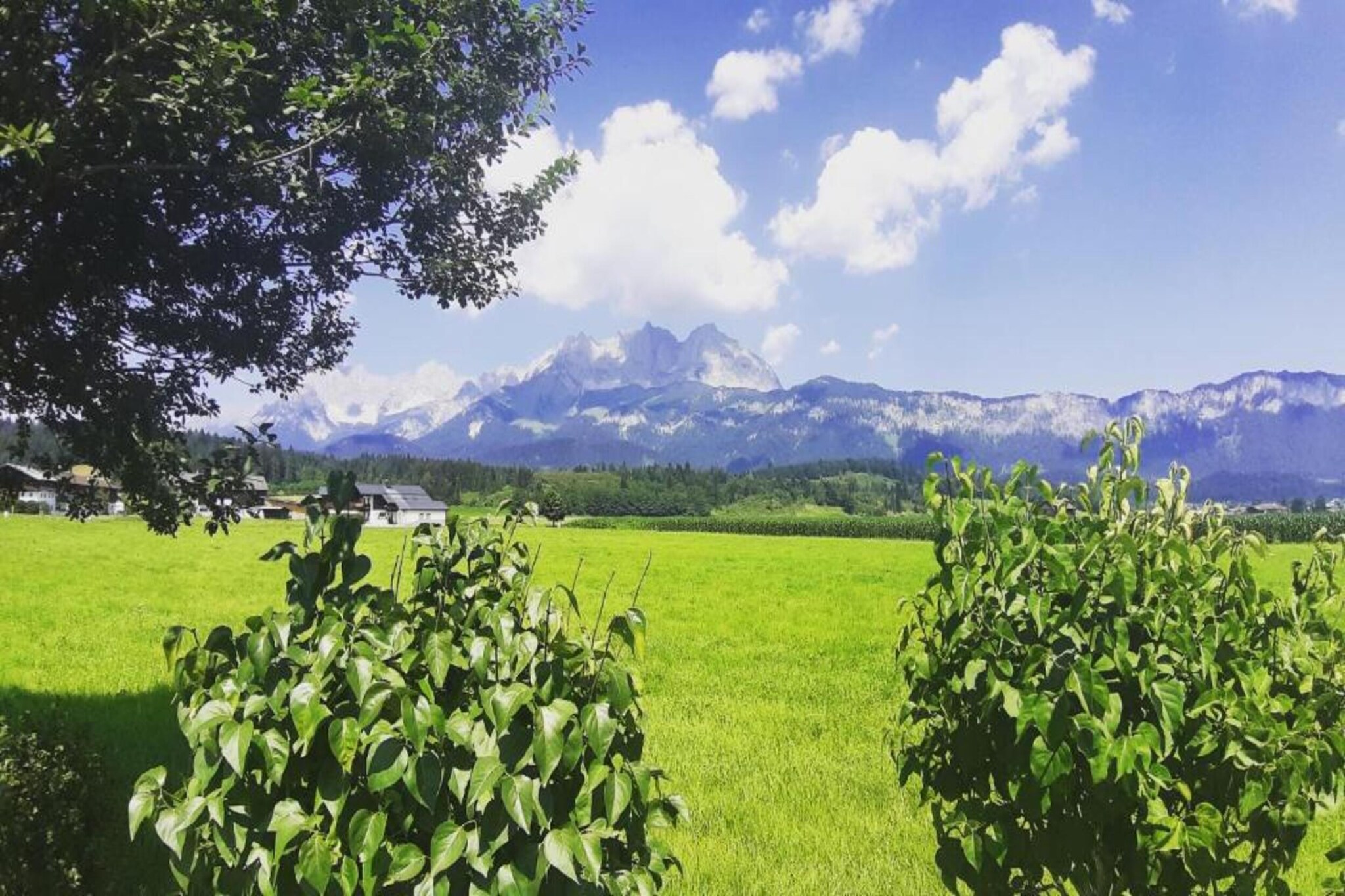 Kitzbühel Suites 3-Gebieden zomer 20km