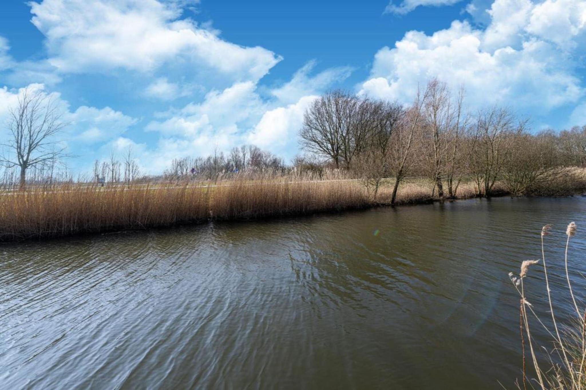 Standaard 231-Areas summer 20km