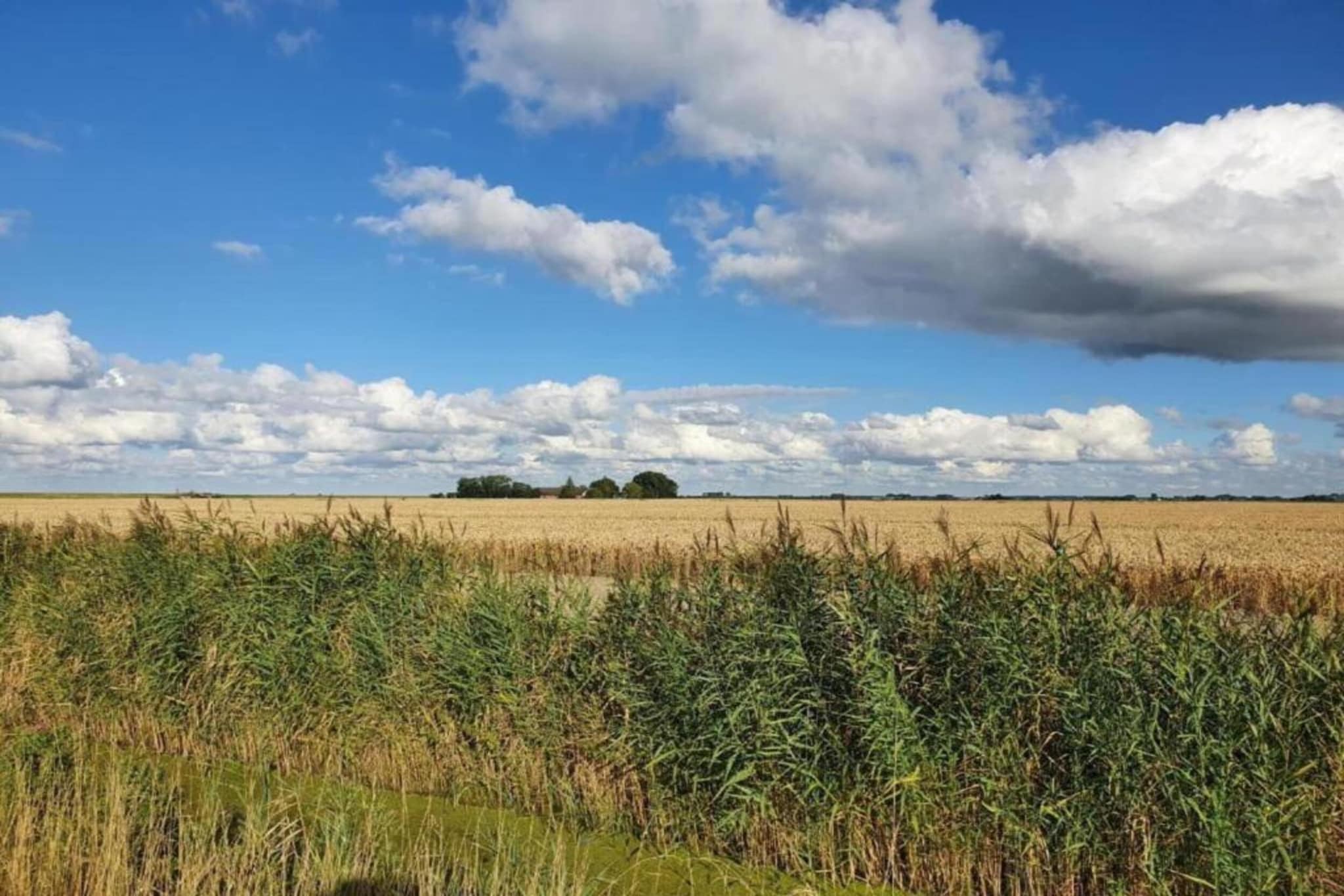 Standaard 231-Areas summer 20km