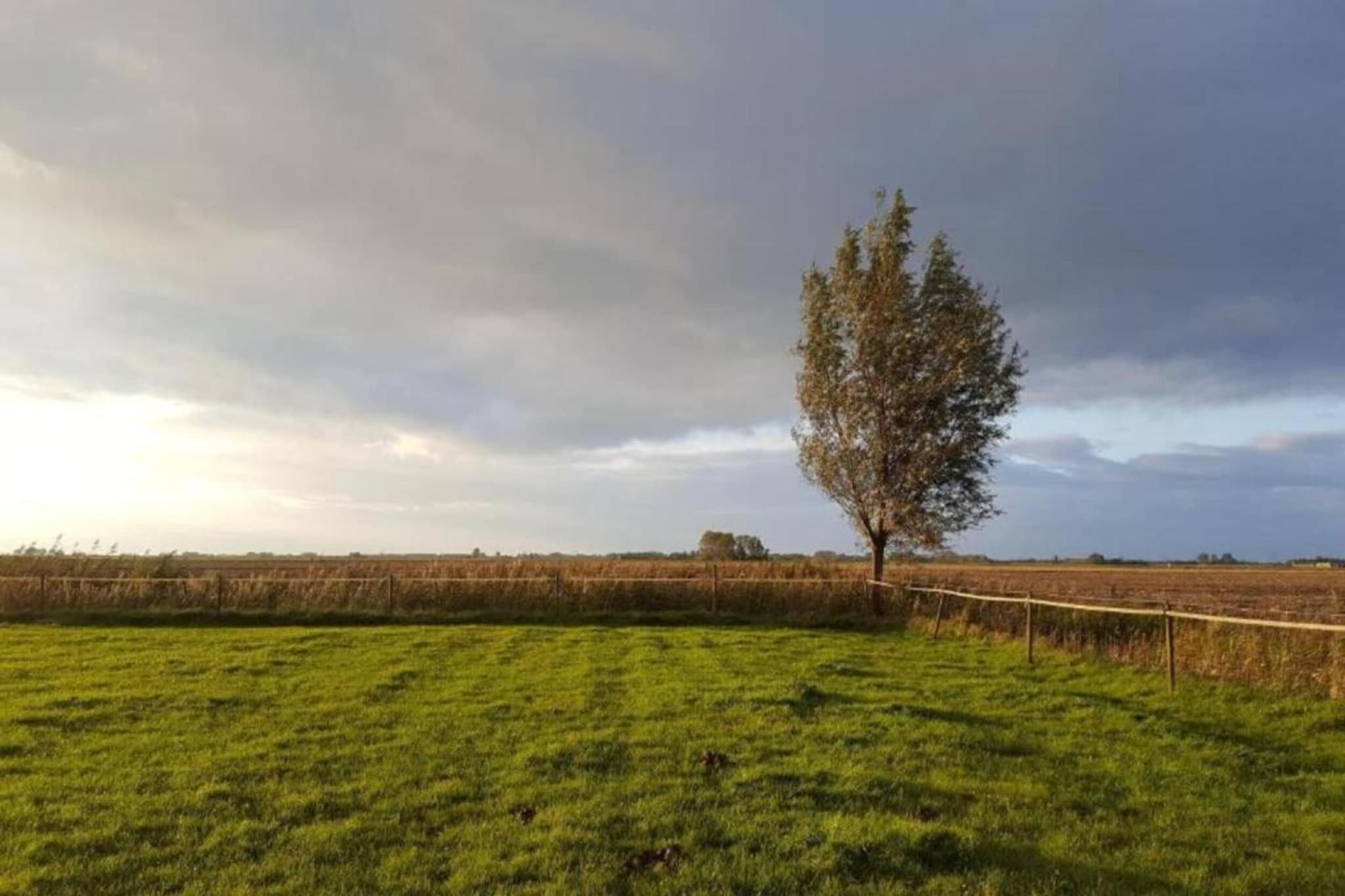 Standaard 231-Areas summer 20km
