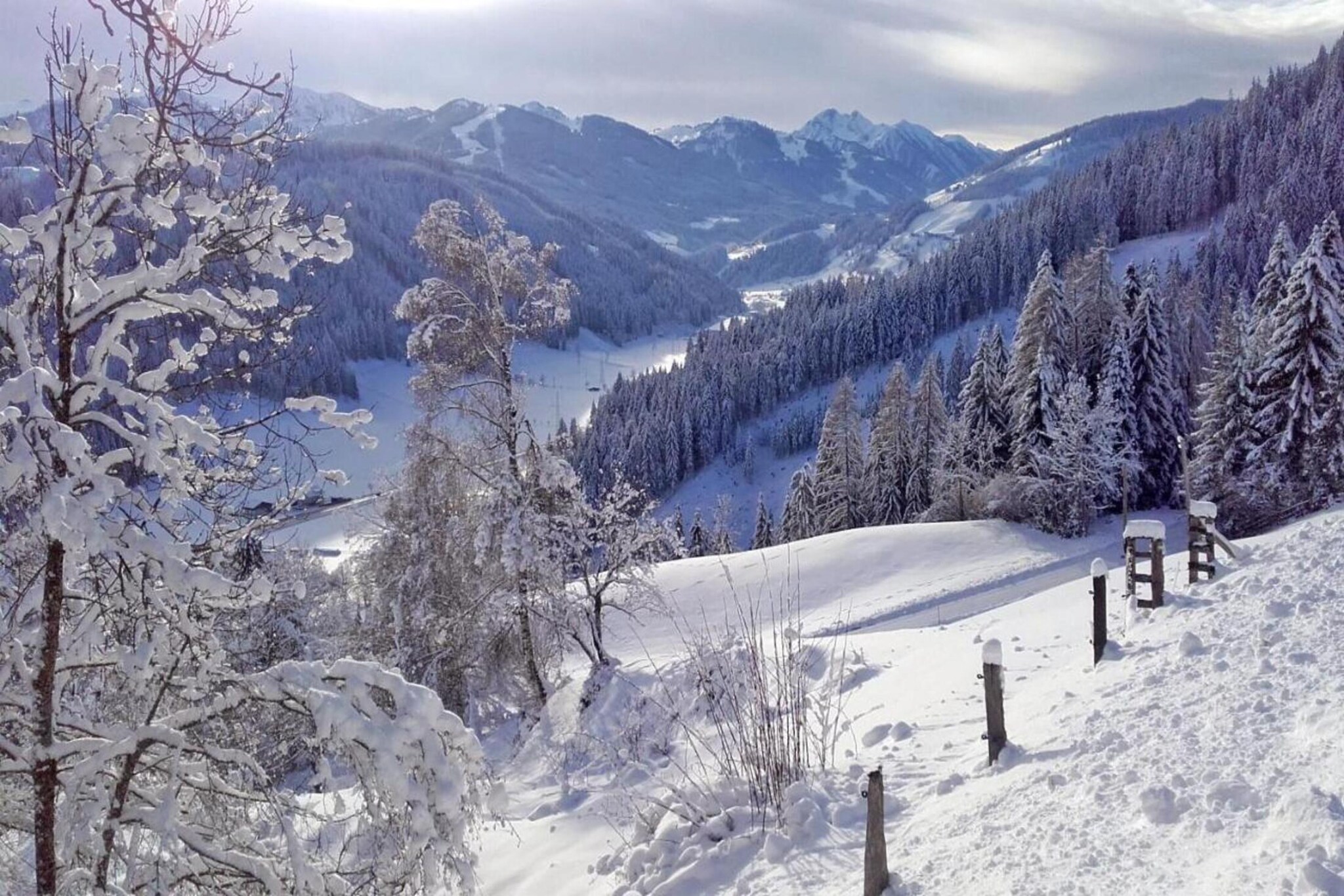 GA2C Alpenleben Apartments-Gebied winter 5km