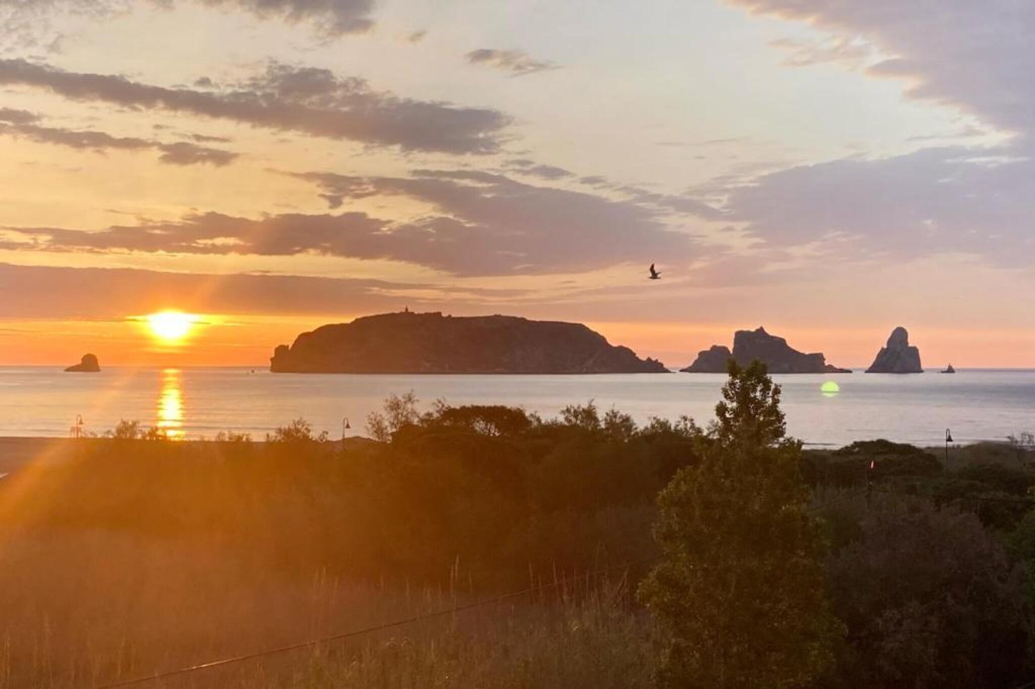 TARRACO 20 (MARCEL.LI AUDIVERT)-Gebieden zomer 1km