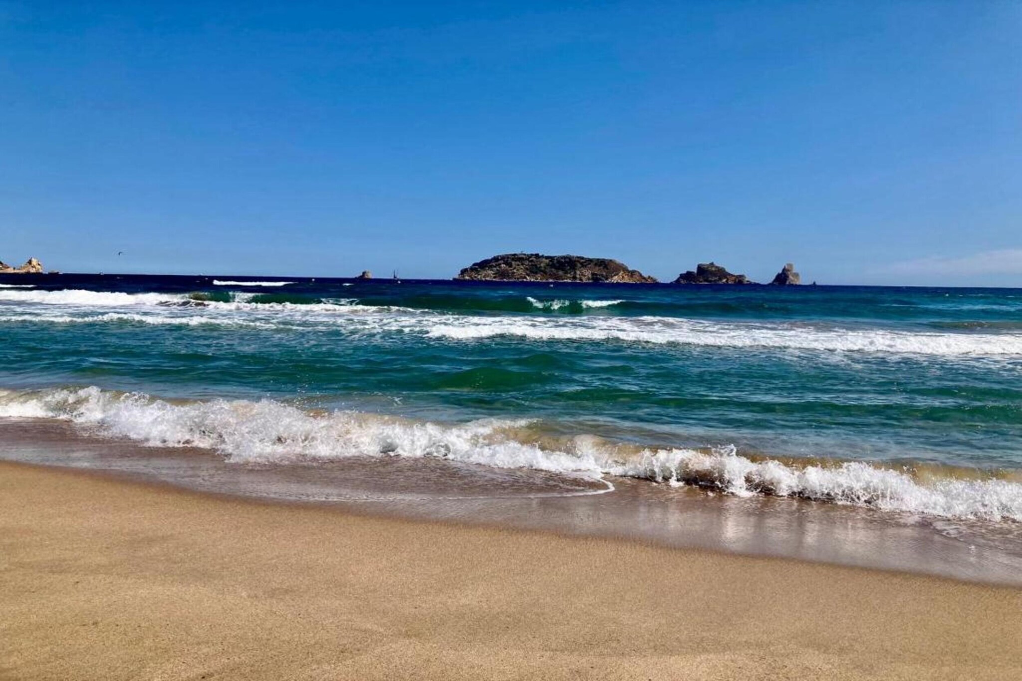 MEDES PLATJA BX-1-Gebieden zomer 1km