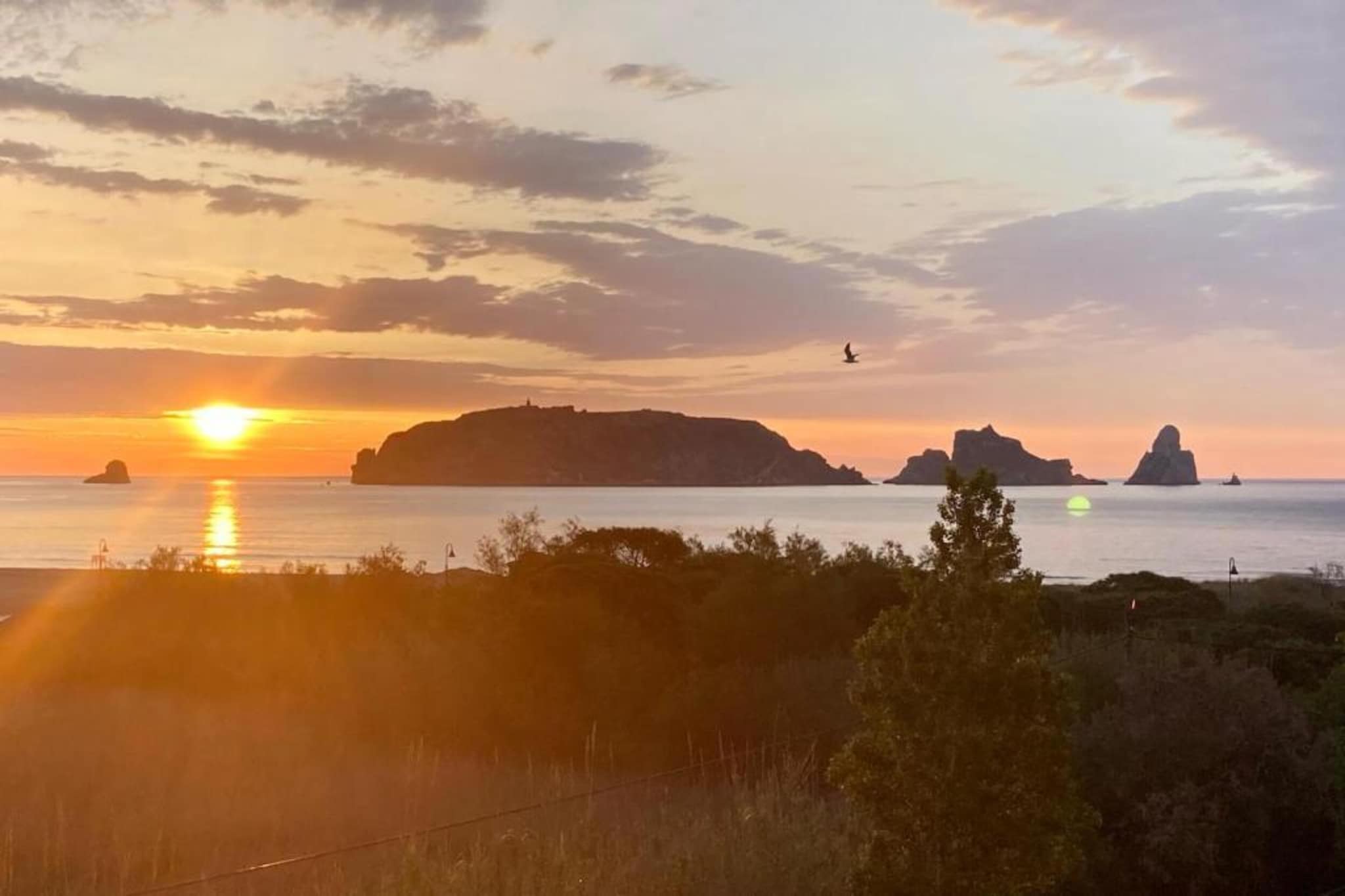 MEDES PLATJA BX-1-Gebieden zomer 1km