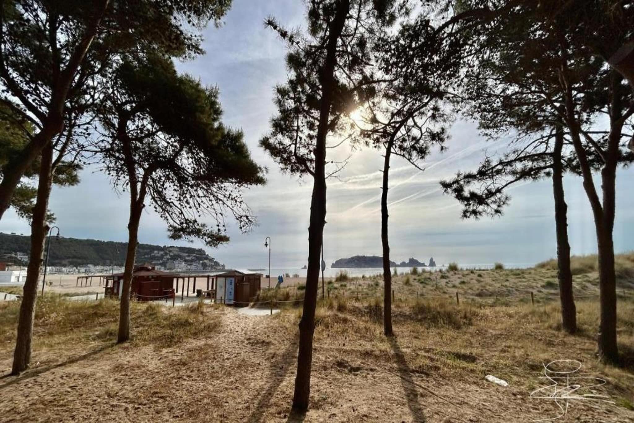 MEDES PARK II 4-2-Gebieden zomer 1km