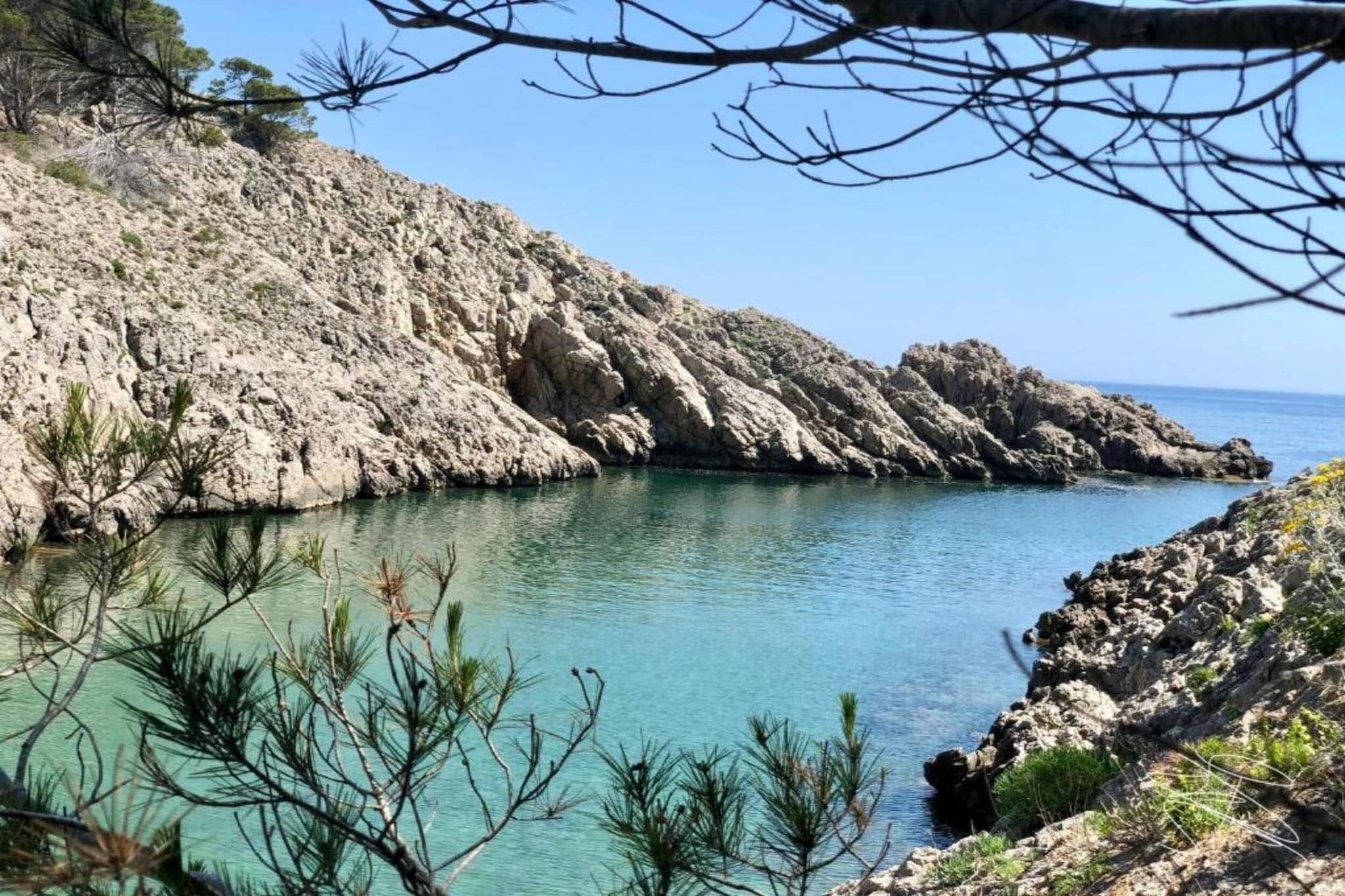 MEDES PARK I 5-1-Gebieden zomer 1km